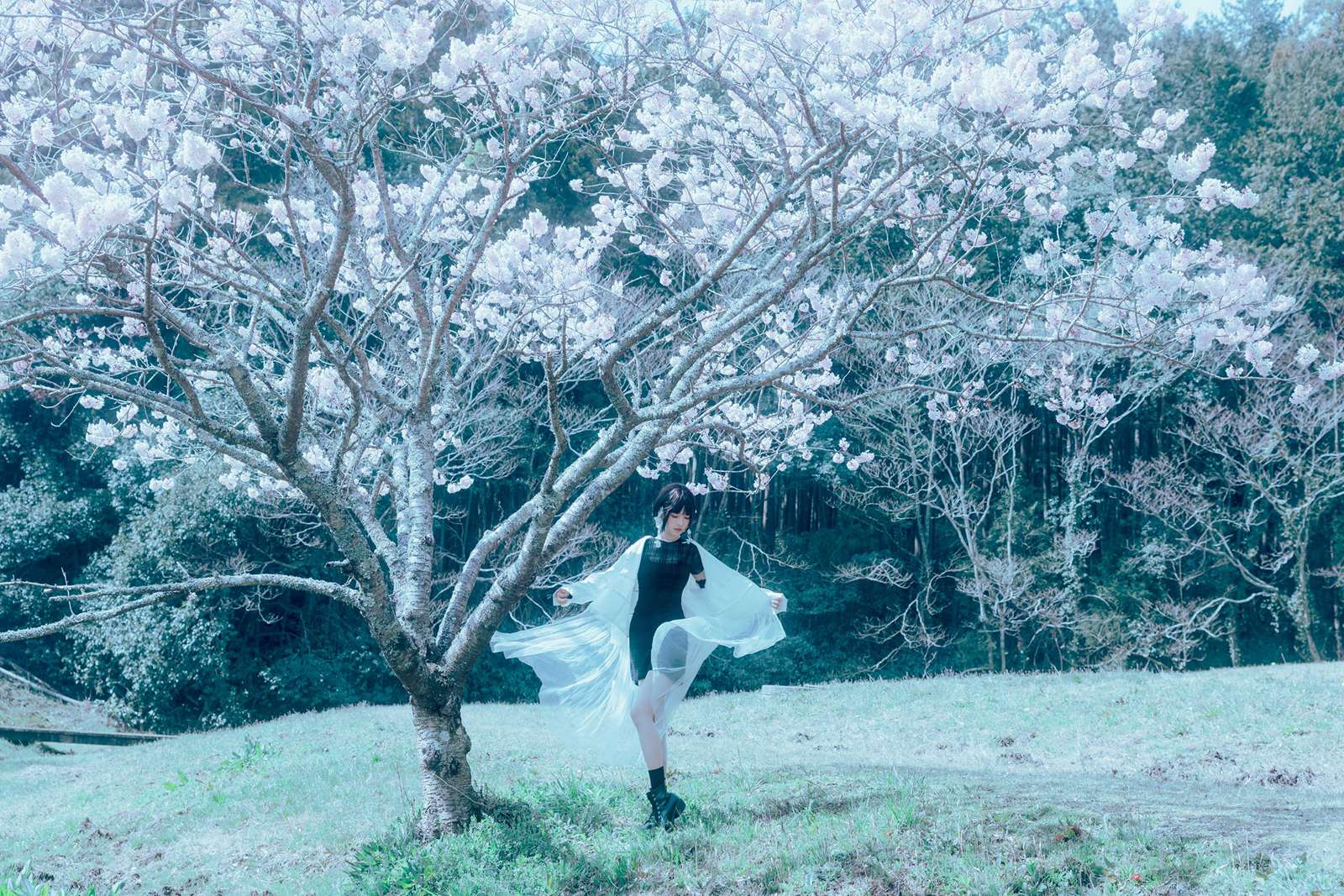 图片[42]-Ely_eee(ElyEE子)  – 17°C Pink Sakura17°C粉櫻[43P] – 速更版-美库