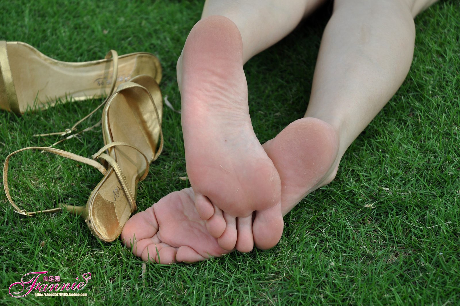 图片[53]-Fannie芬妮每足园 No.485 夏日的天堂 户外篇 金色旋律2[85P] – 速更版-美库