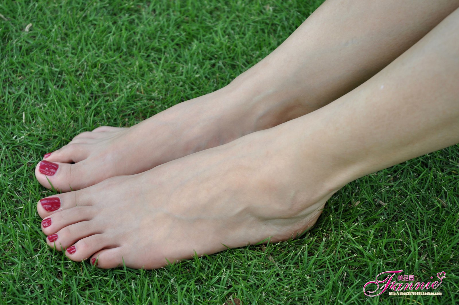 图片[59]-Fannie芬妮每足园 No.485 夏日的天堂 户外篇 金色旋律2[85P] – 速更版-美库