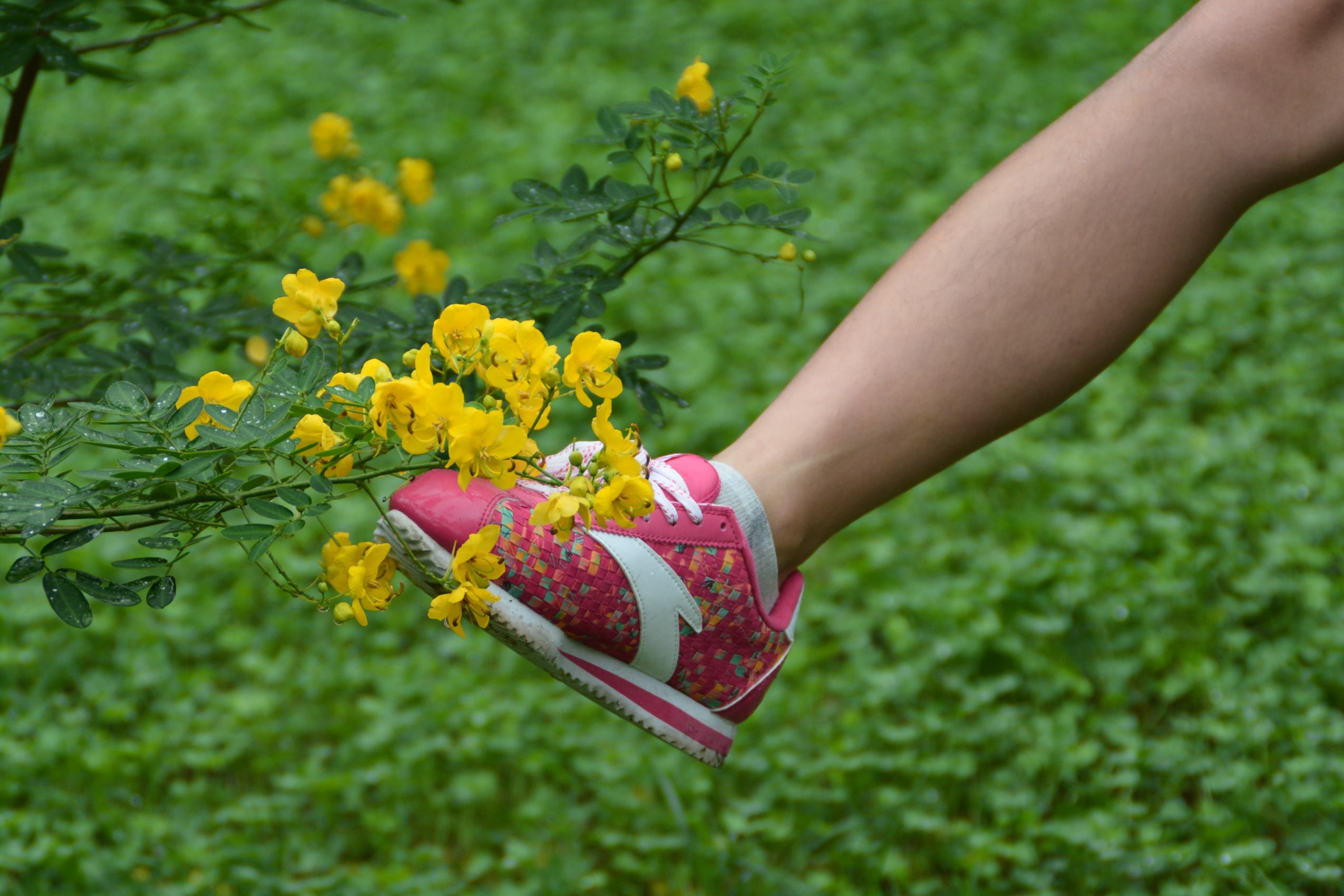 图片[10]-织梦行影@NO.036-第三十六期 户外双人运动鞋棉袜每足（二）（棉袜）[75P] – 速更版-美库