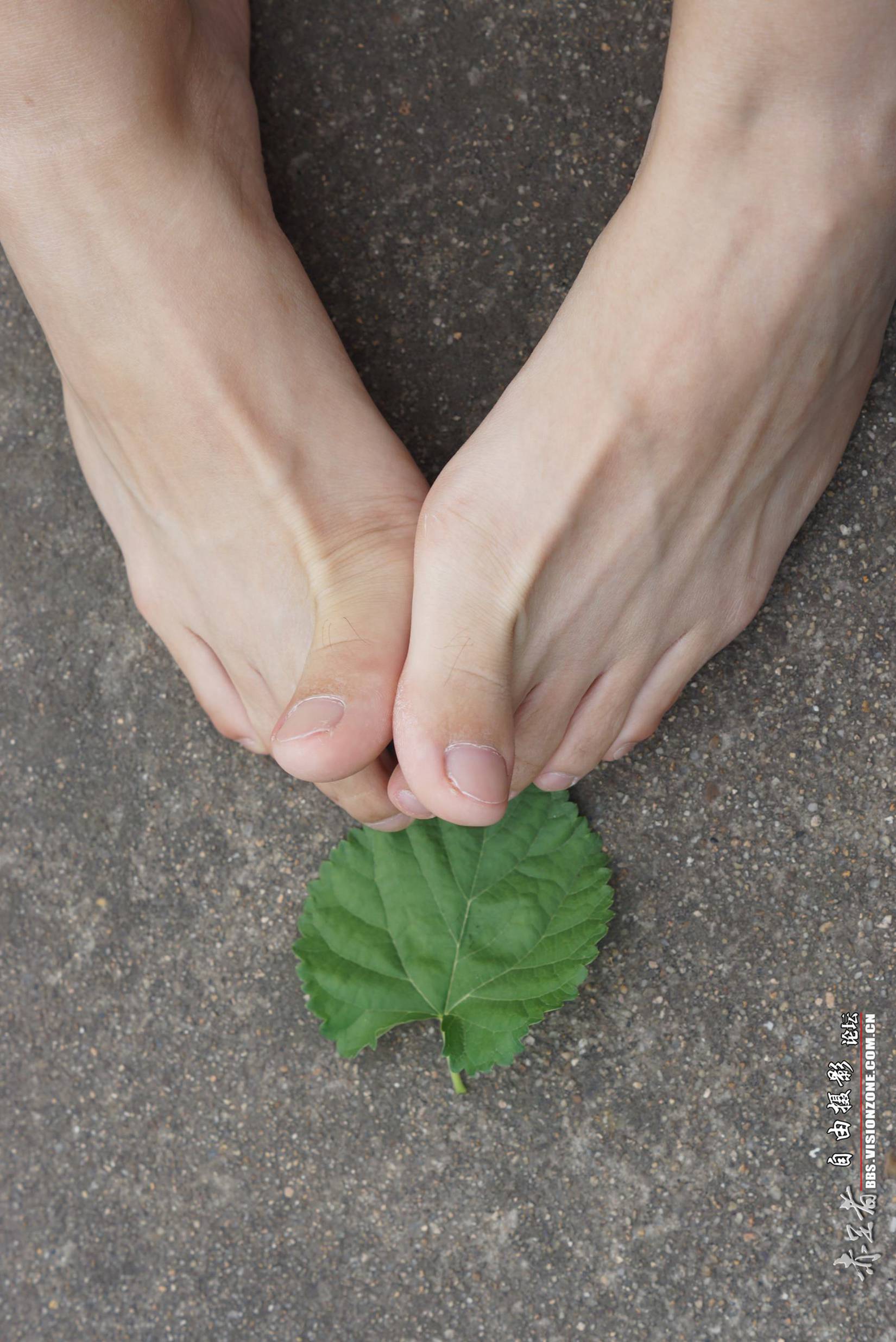 图片[10]-自由摄影 No.248 高感特写 裸足 [69P] – 速更版-美库