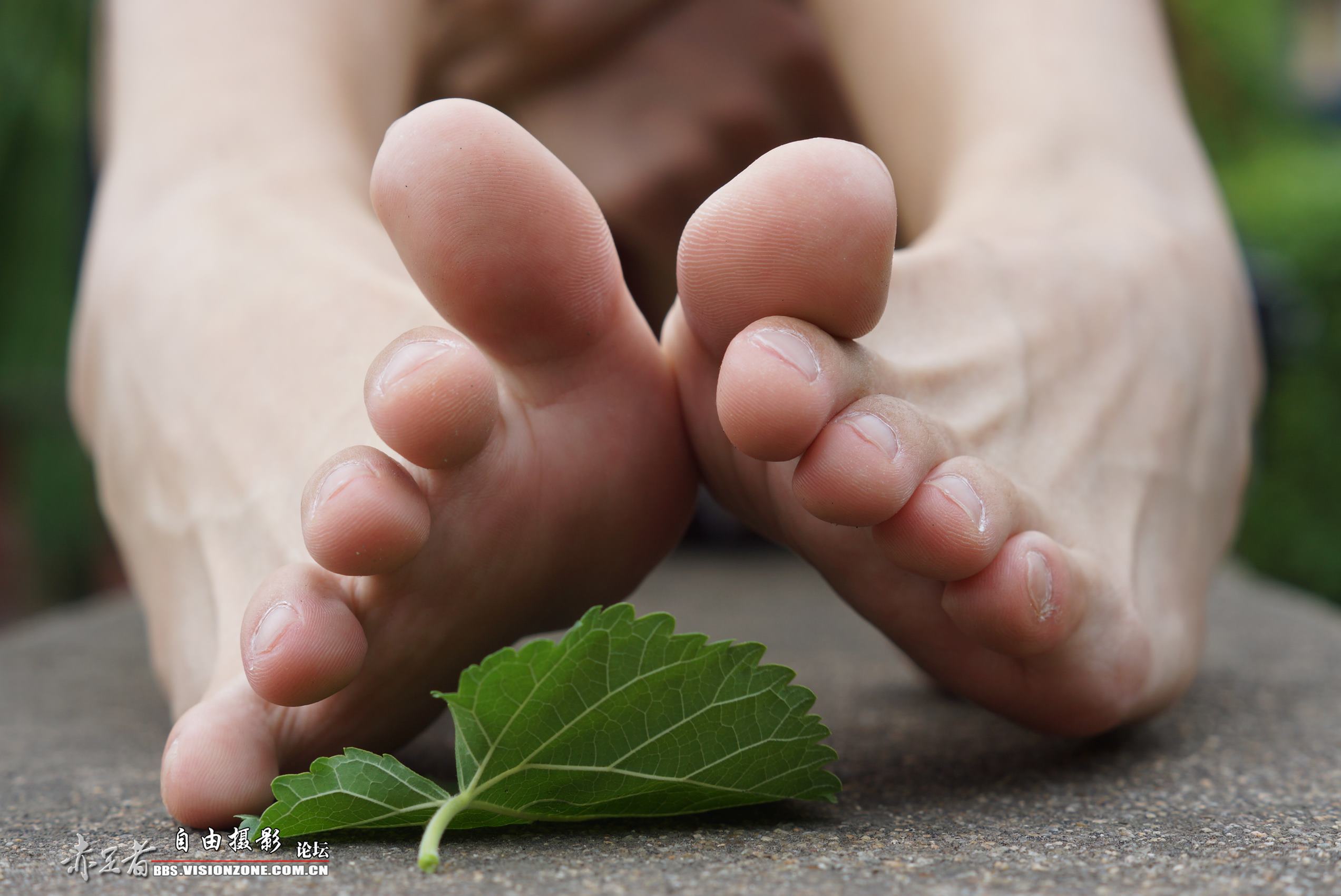 图片[14]-自由摄影 No.248 高感特写 裸足 [69P] – 速更版-美库