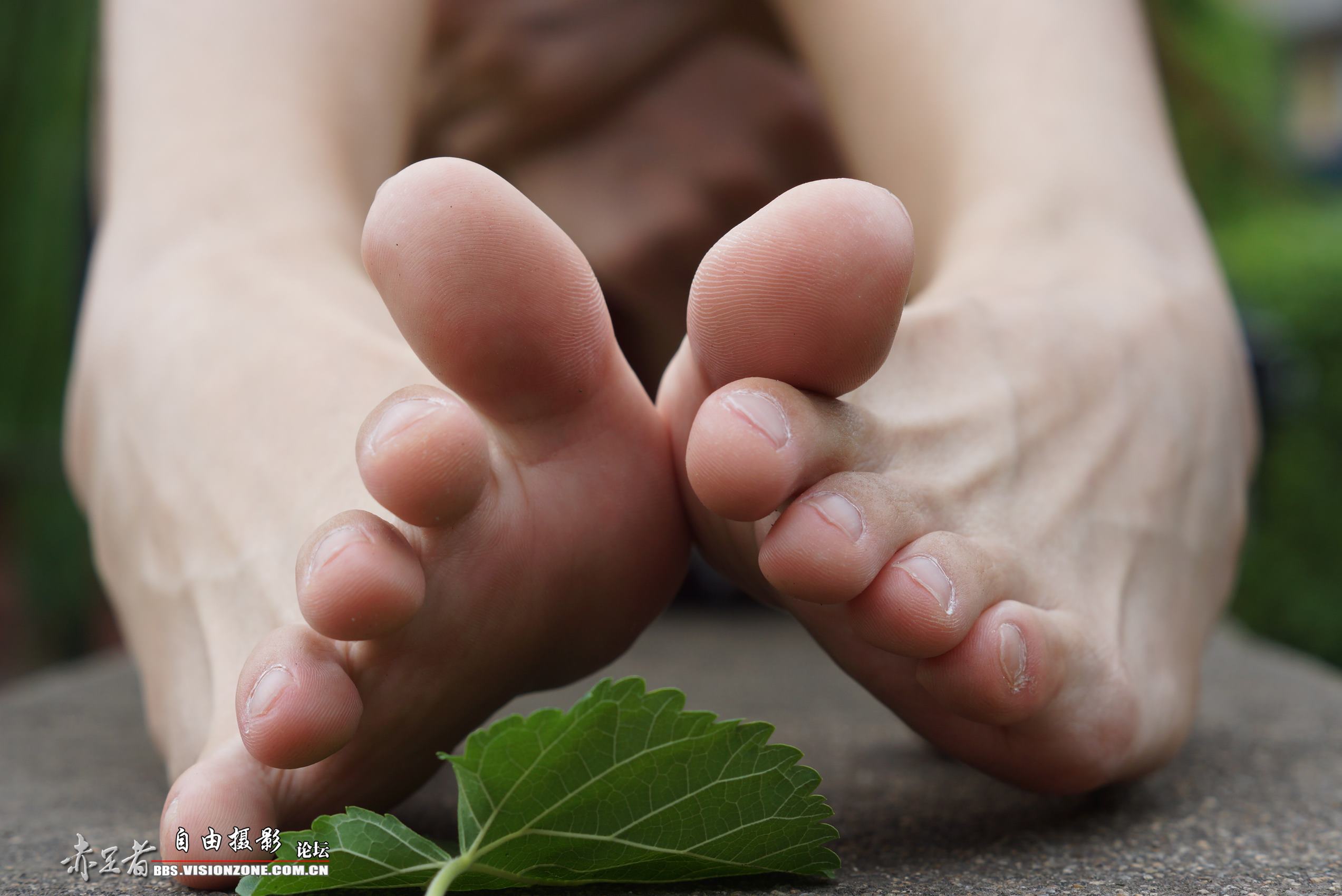 图片[16]-自由摄影 No.248 高感特写 裸足 [69P] – 速更版-美库