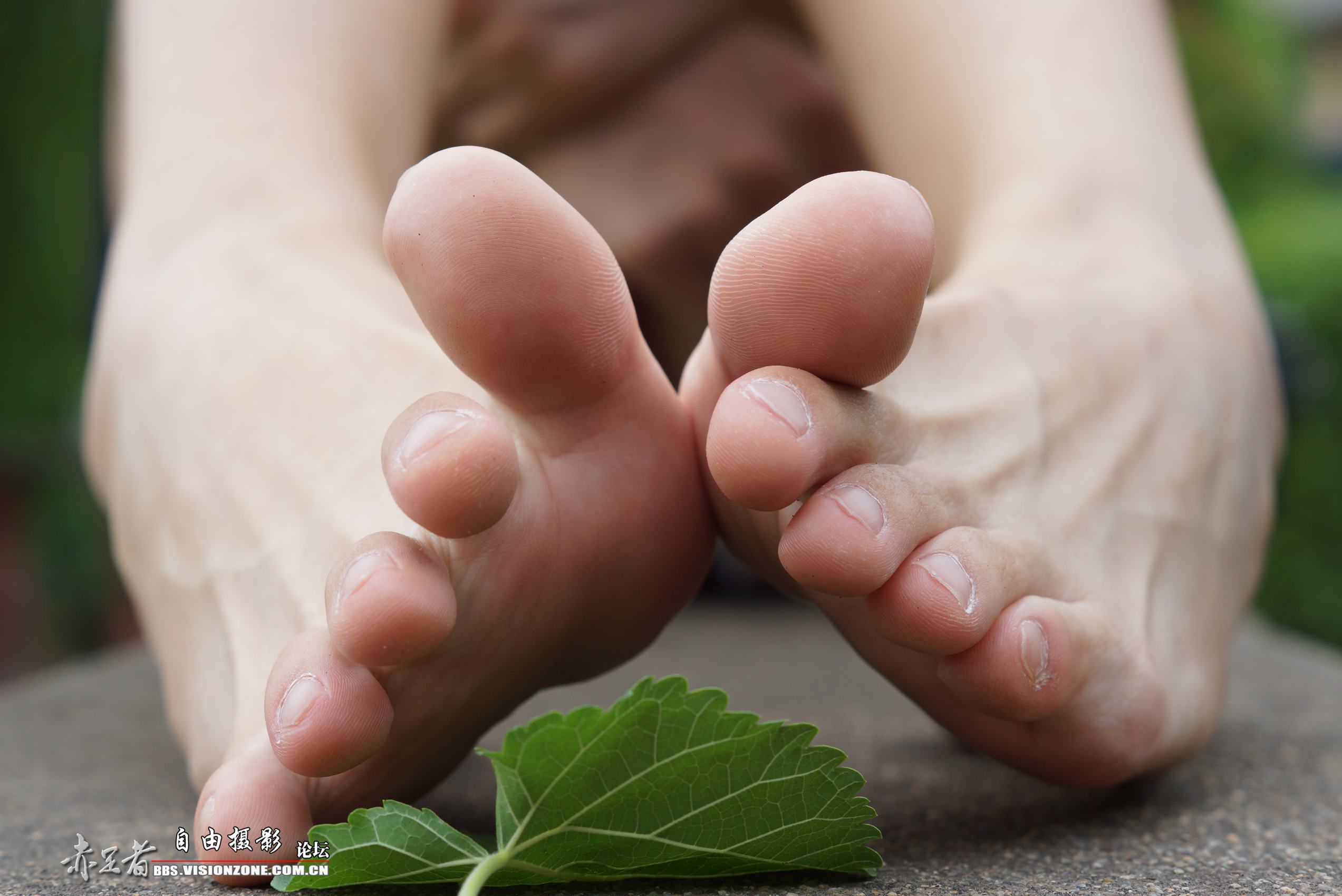 图片[17]-自由摄影 No.248 高感特写 裸足 [69P] – 速更版-美库