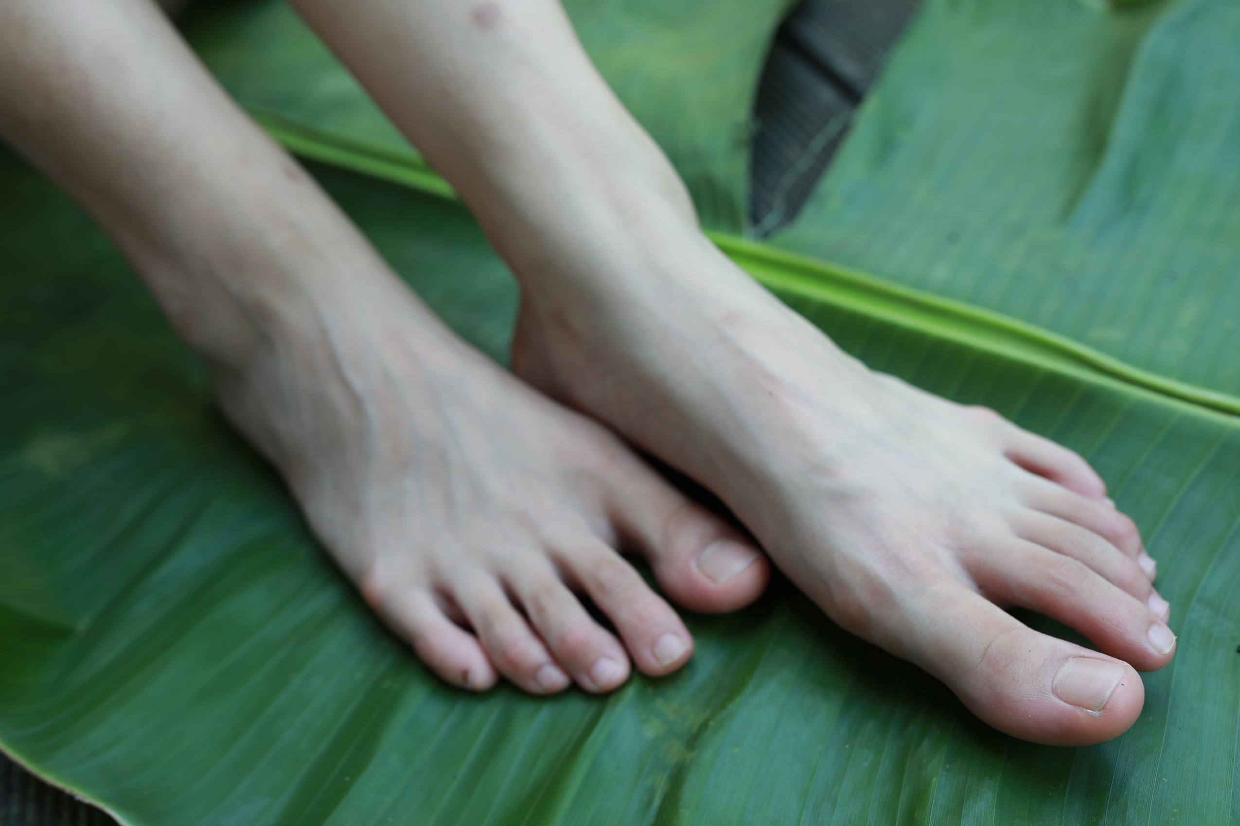 图片[78]-[MZSOCK]爱美足 NO.289 可可[81P] – 速更版-美库