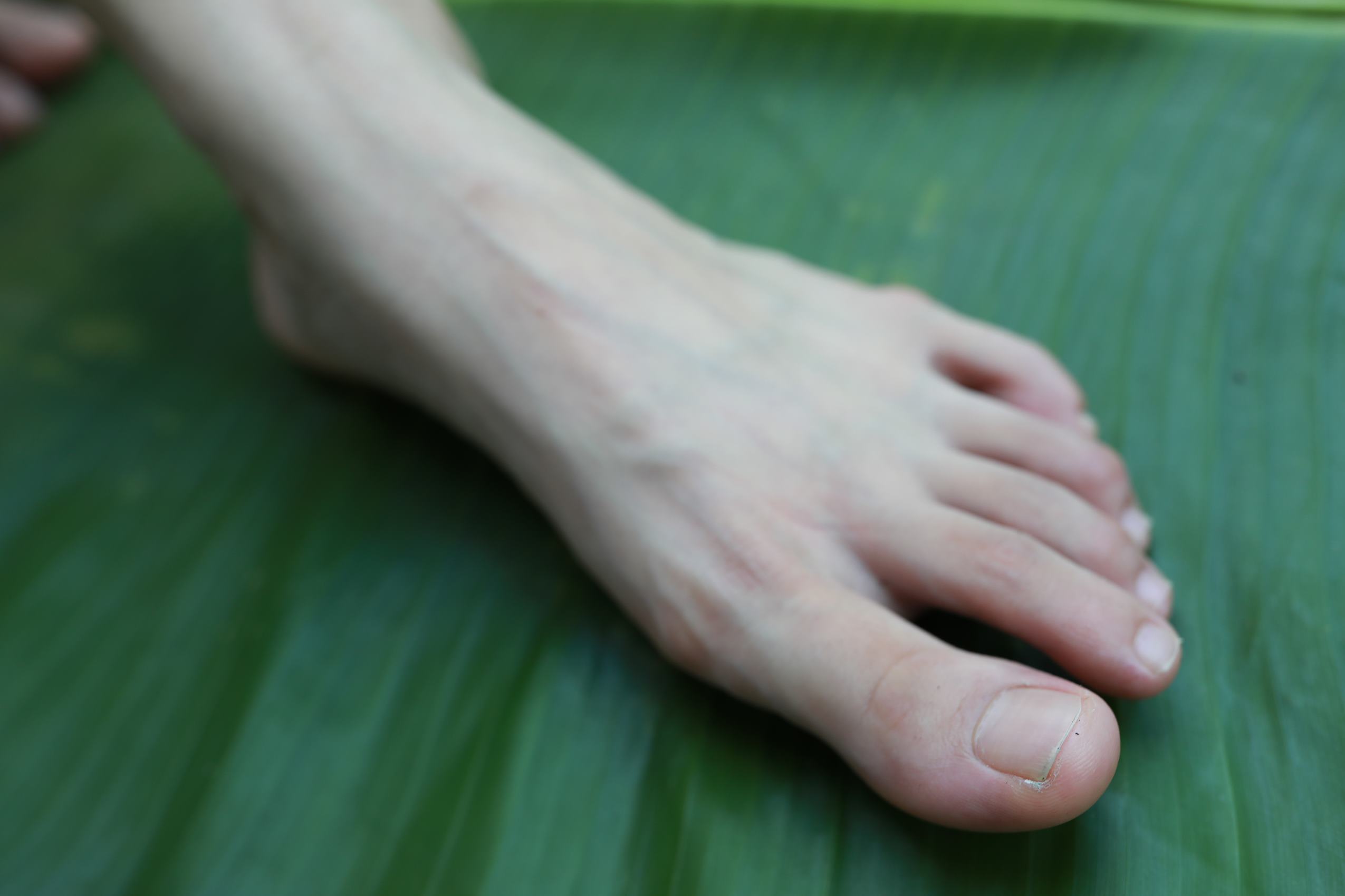 图片[79]-[MZSOCK]爱美足 NO.289 可可[81P] – 速更版-美库