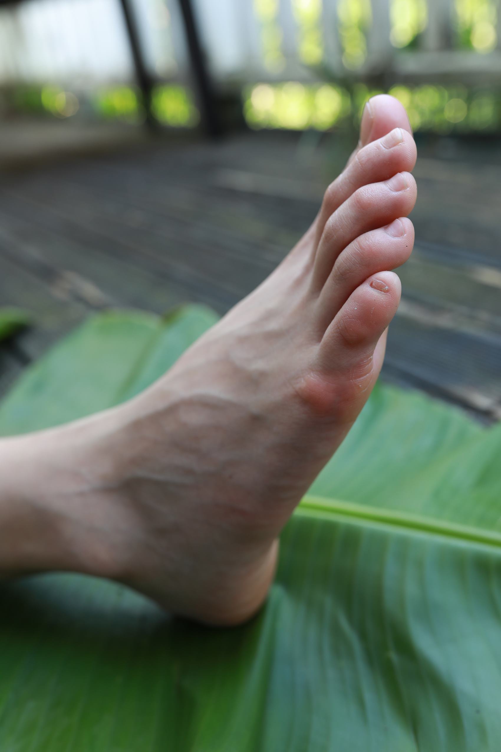 图片[80]-[MZSOCK]爱美足 NO.289 可可[81P] – 速更版-美库