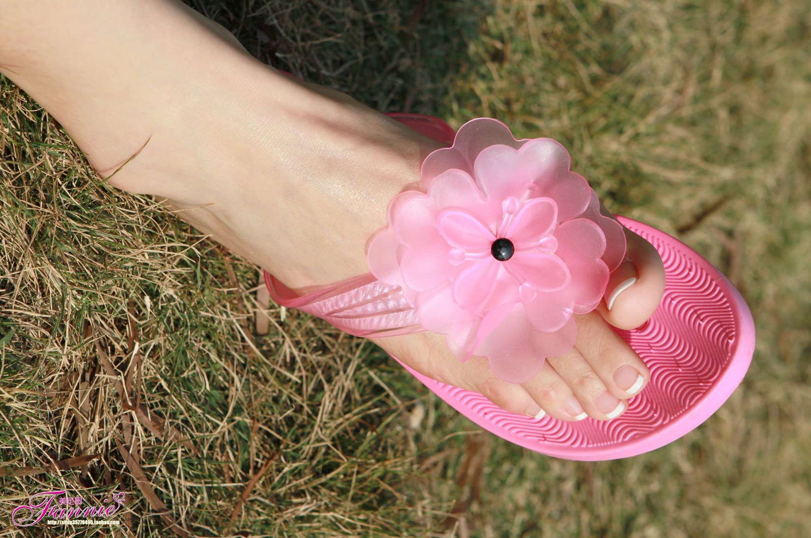 图片[34]-Fannie芬妮每足园 No.511 享受阳光[74P] – 速更版-美库