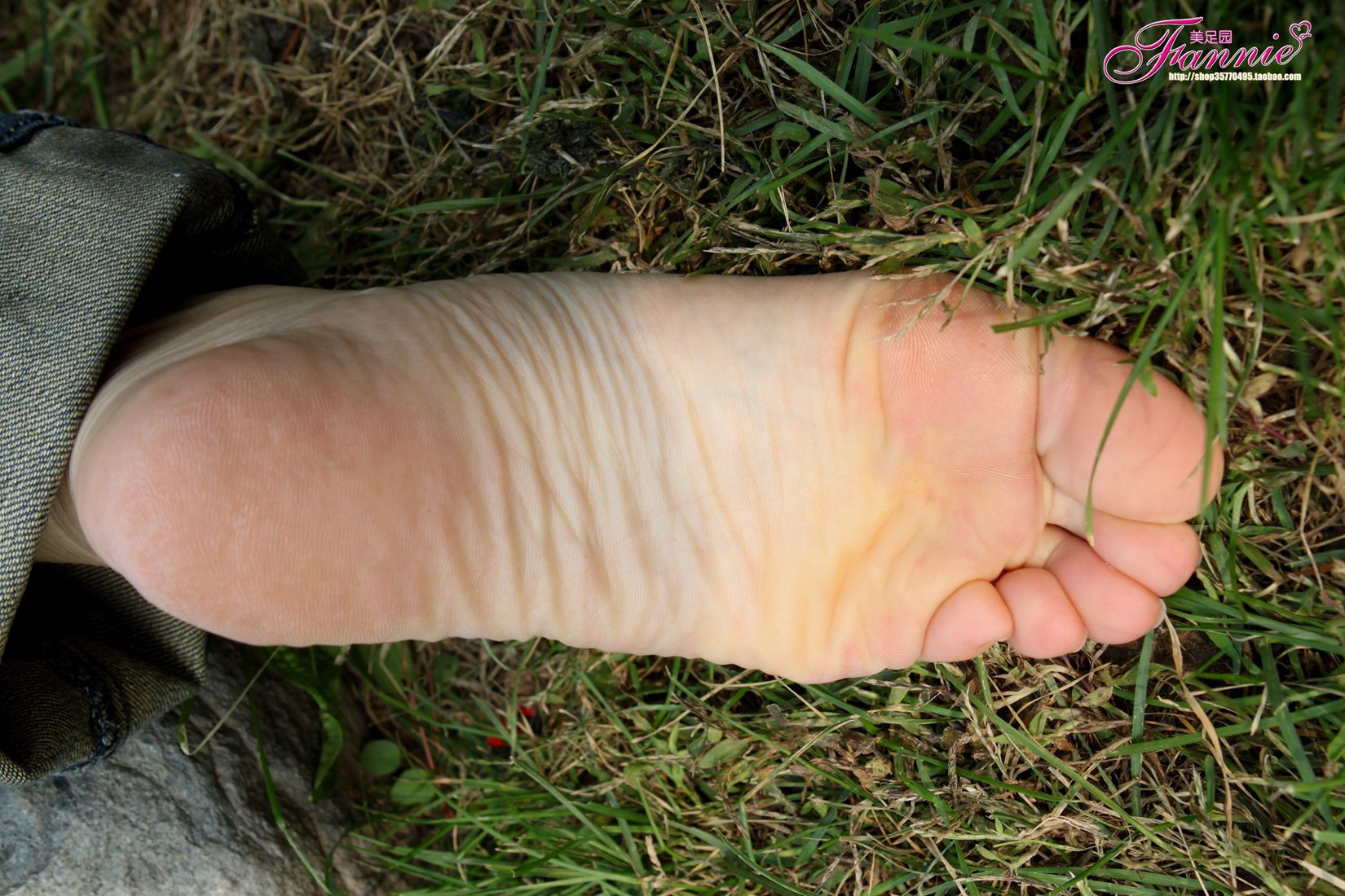 图片[13]-Fannie芬妮每足园 No.519 行在深秋 草地[83P] – 速更版-美库