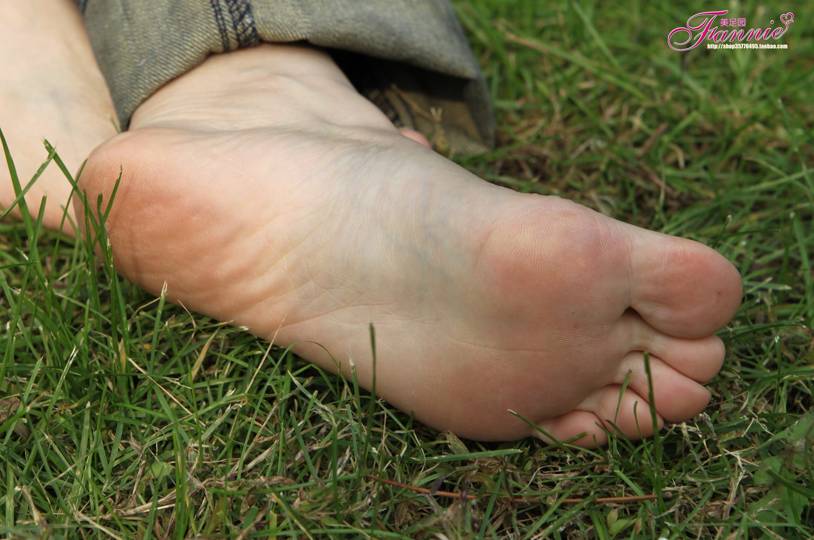 图片[21]-Fannie芬妮每足园 No.519 行在深秋 草地[83P] – 速更版-美库