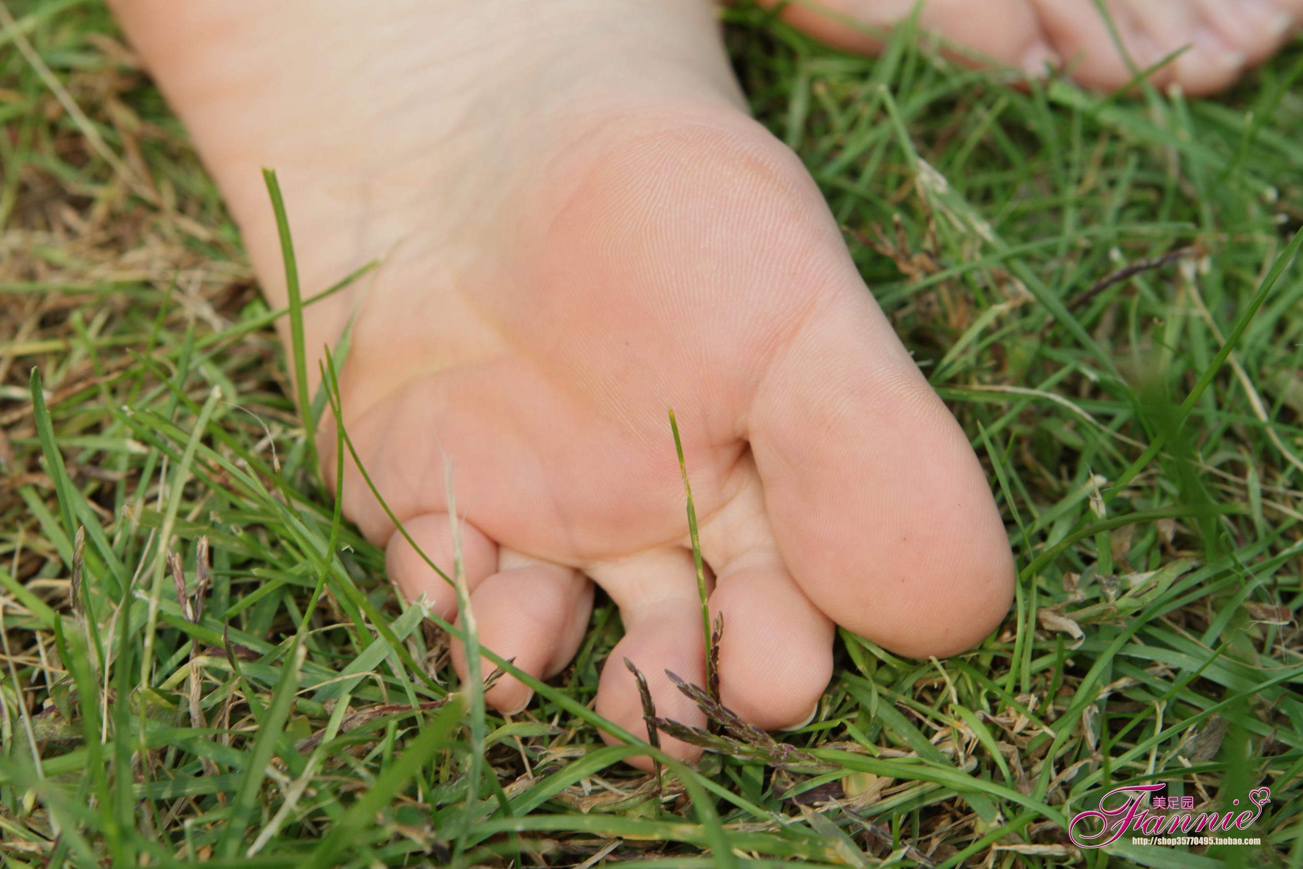 图片[32]-Fannie芬妮每足园 No.519 行在深秋 草地[83P] – 速更版-美库