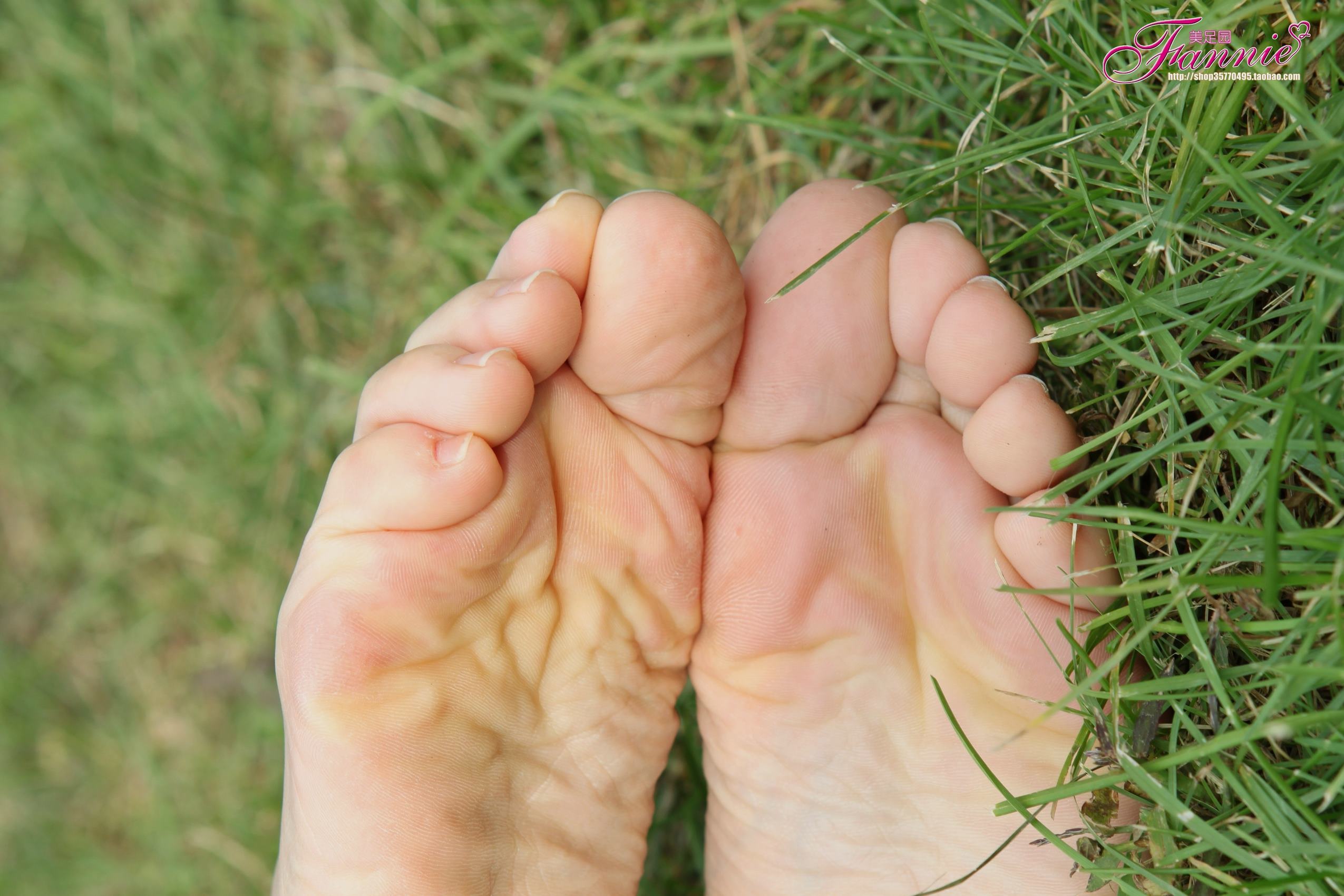 图片[37]-Fannie芬妮每足园 No.519 行在深秋 草地[83P] – 速更版-美库