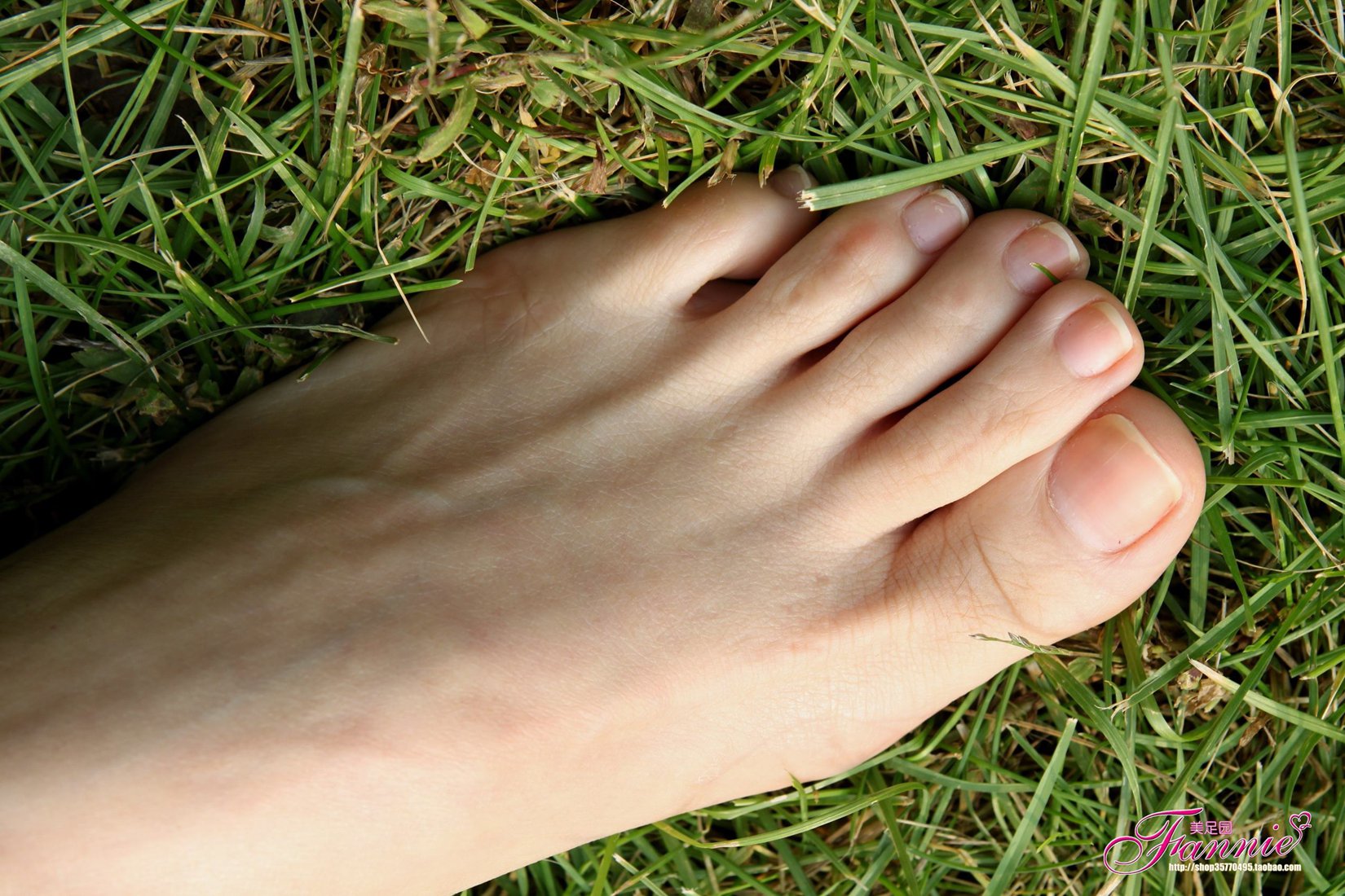 图片[40]-Fannie芬妮每足园 No.519 行在深秋 草地[83P] – 速更版-美库