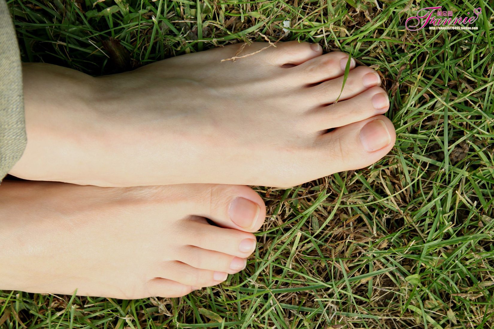 图片[41]-Fannie芬妮每足园 No.519 行在深秋 草地[83P] – 速更版-美库