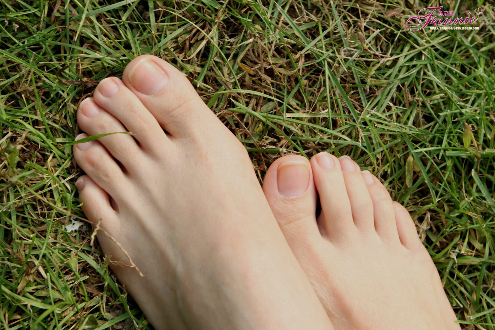 图片[42]-Fannie芬妮每足园 No.519 行在深秋 草地[83P] – 速更版-美库