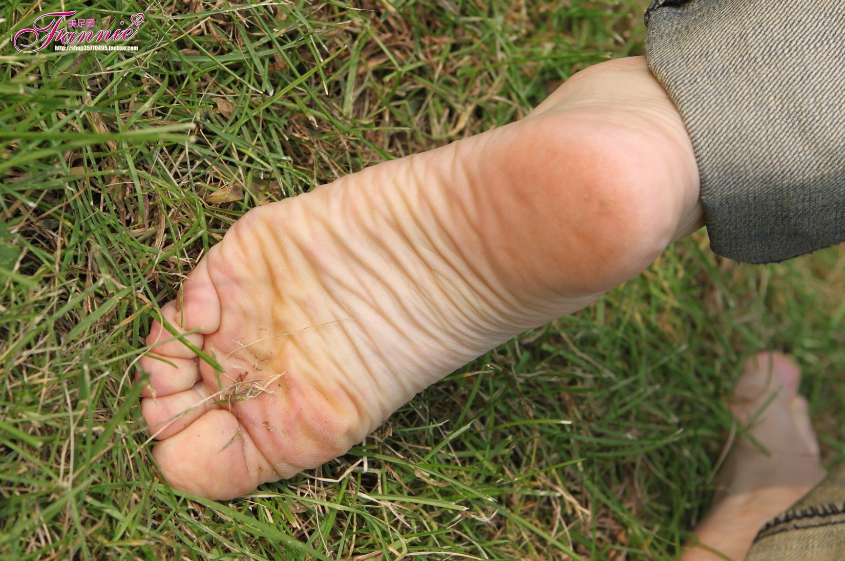 图片[47]-Fannie芬妮每足园 No.519 行在深秋 草地[83P] – 速更版-美库