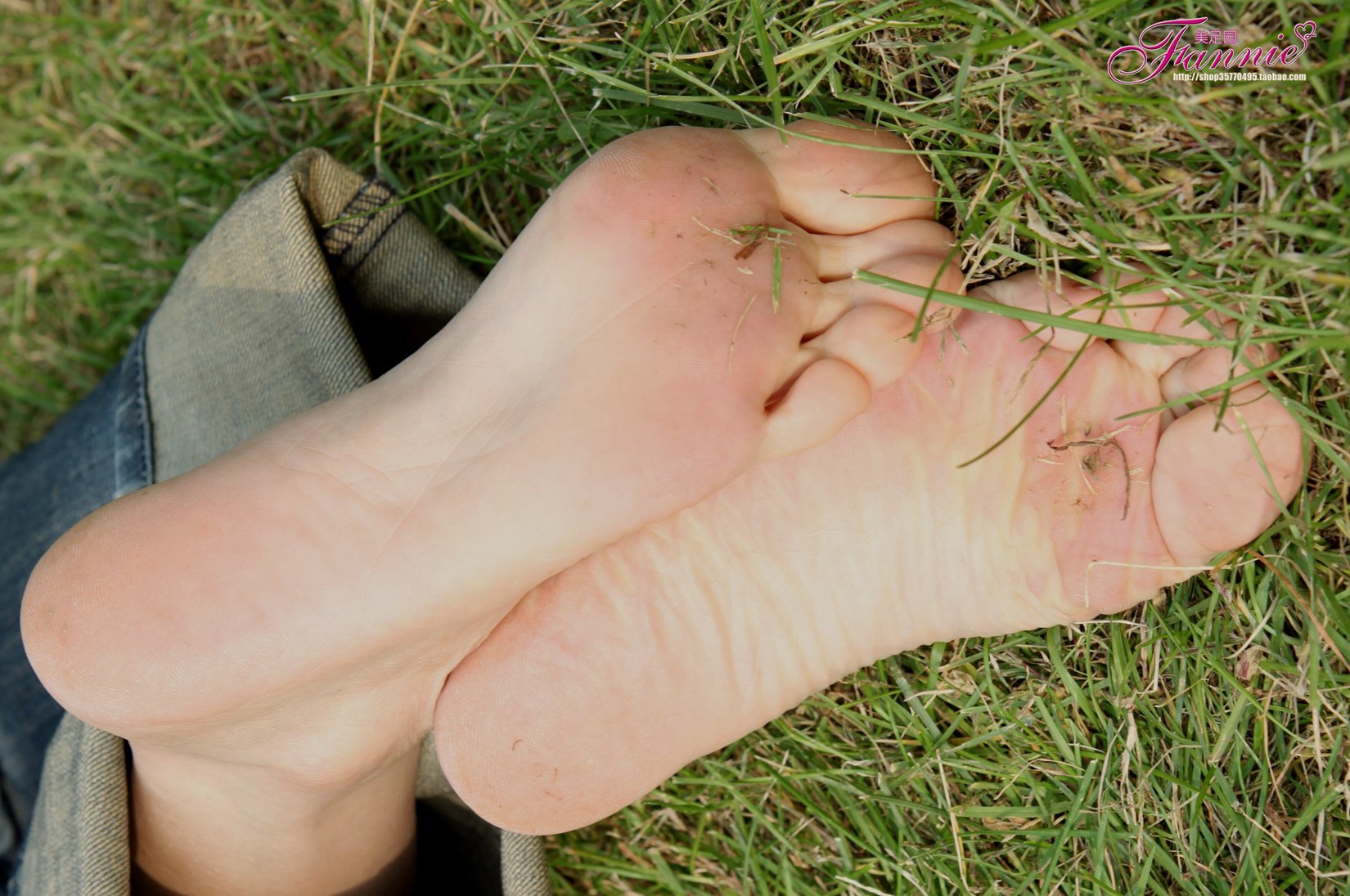 图片[51]-Fannie芬妮每足园 No.519 行在深秋 草地[83P] – 速更版-美库