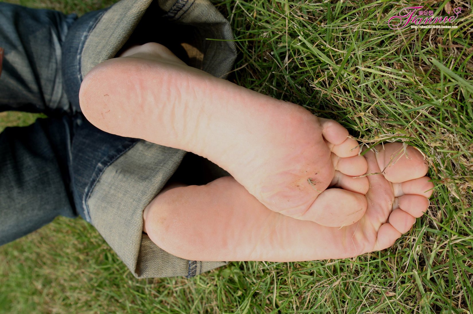 图片[53]-Fannie芬妮每足园 No.519 行在深秋 草地[83P] – 速更版-美库