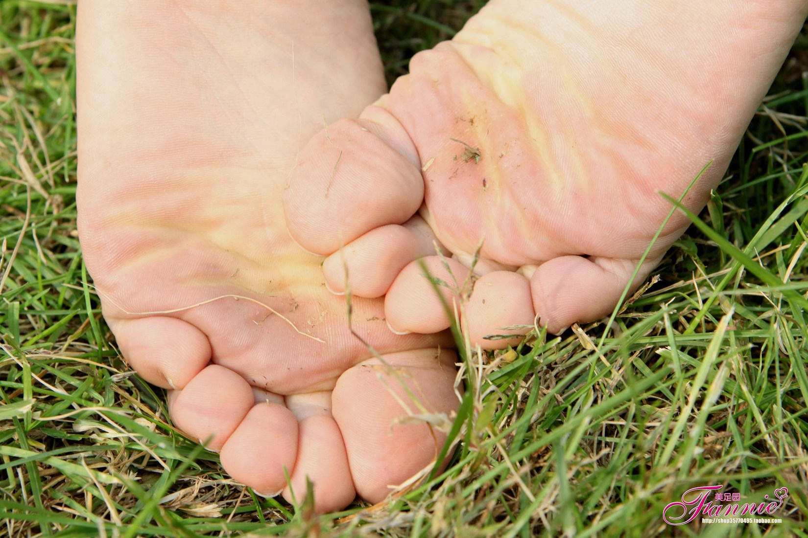 图片[54]-Fannie芬妮每足园 No.519 行在深秋 草地[83P] – 速更版-美库