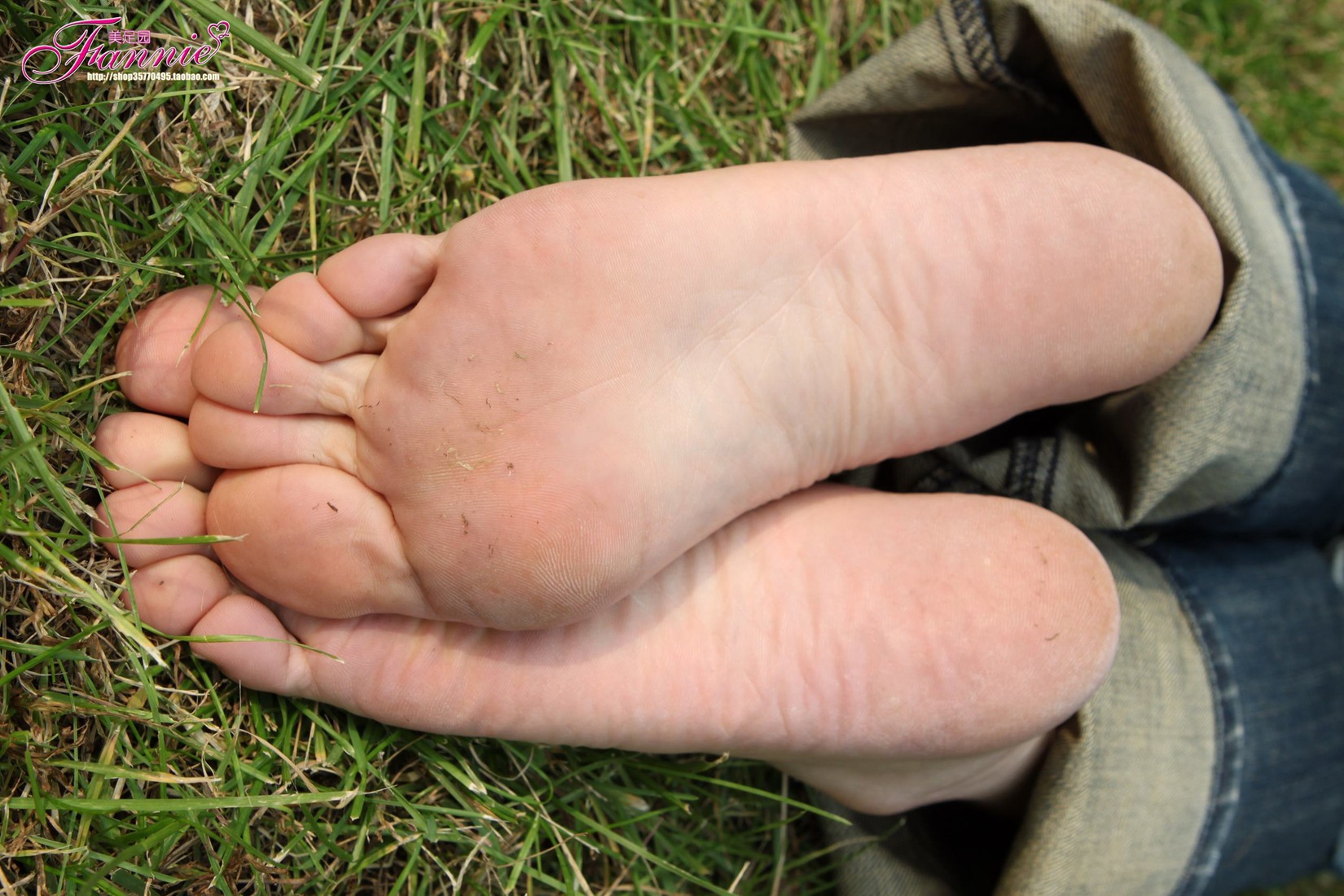 图片[57]-Fannie芬妮每足园 No.519 行在深秋 草地[83P] – 速更版-美库