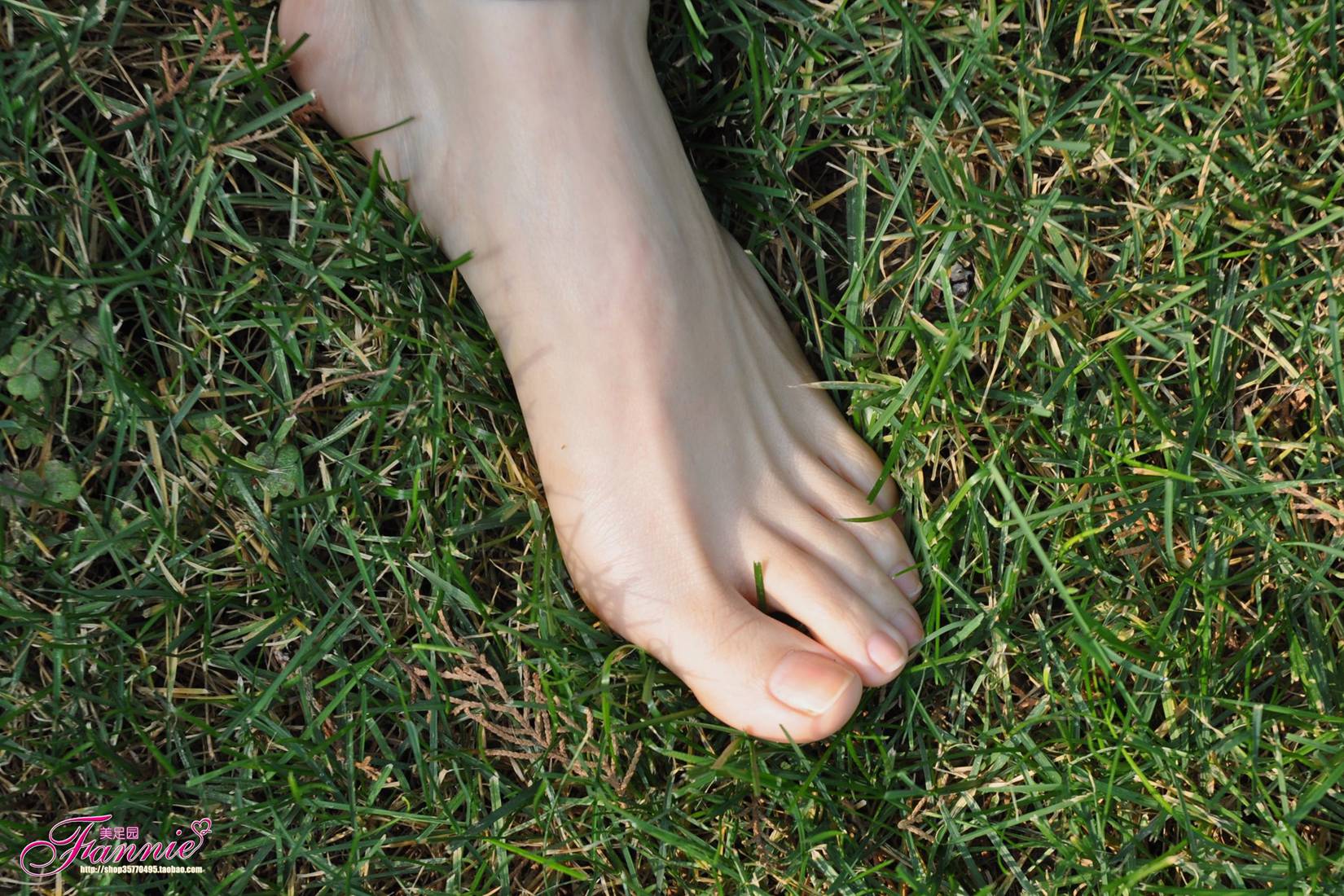 图片[61]-Fannie芬妮每足园 No.519 行在深秋 草地[83P] – 速更版-美库