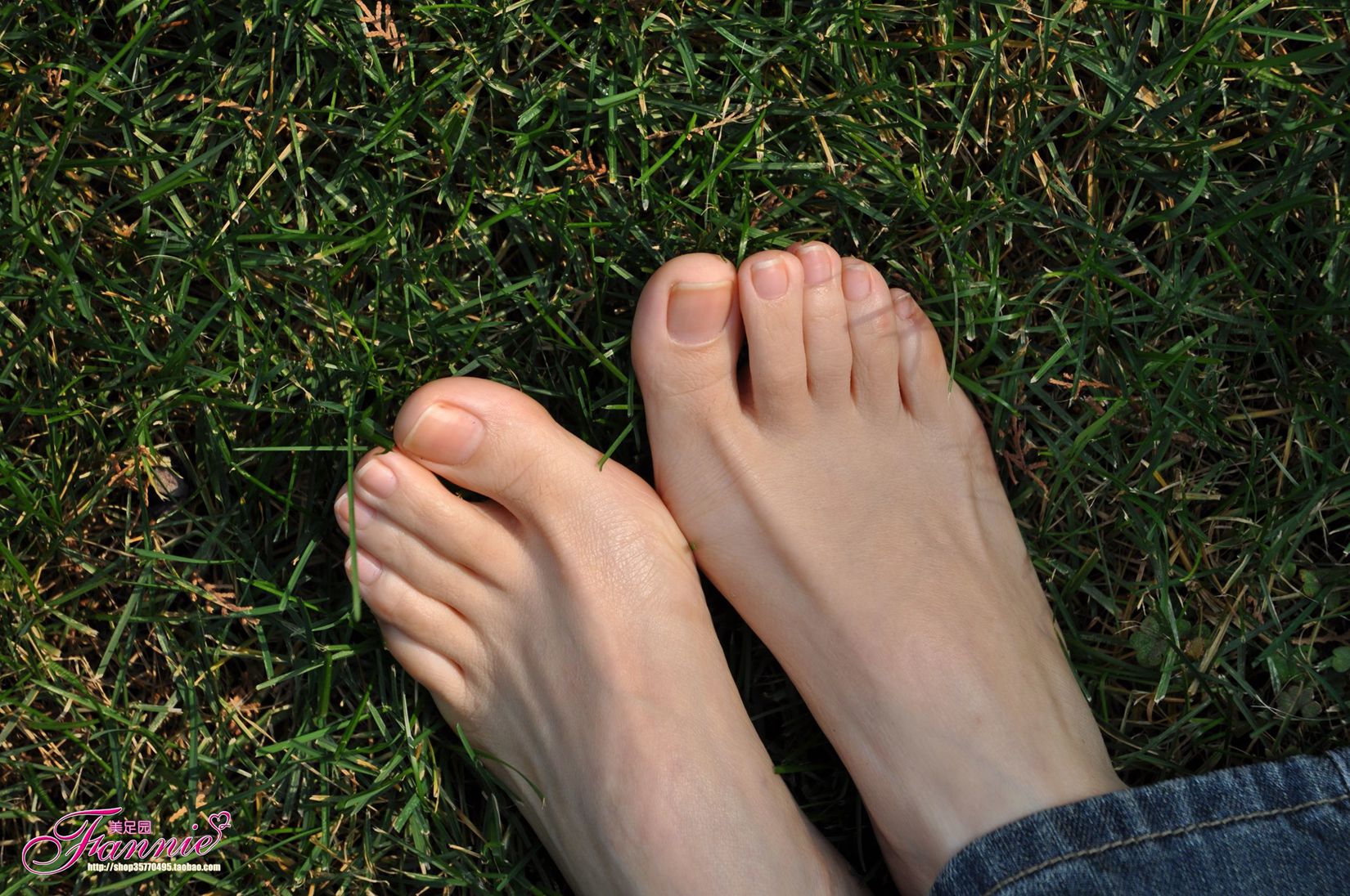 图片[62]-Fannie芬妮每足园 No.519 行在深秋 草地[83P] – 速更版-美库