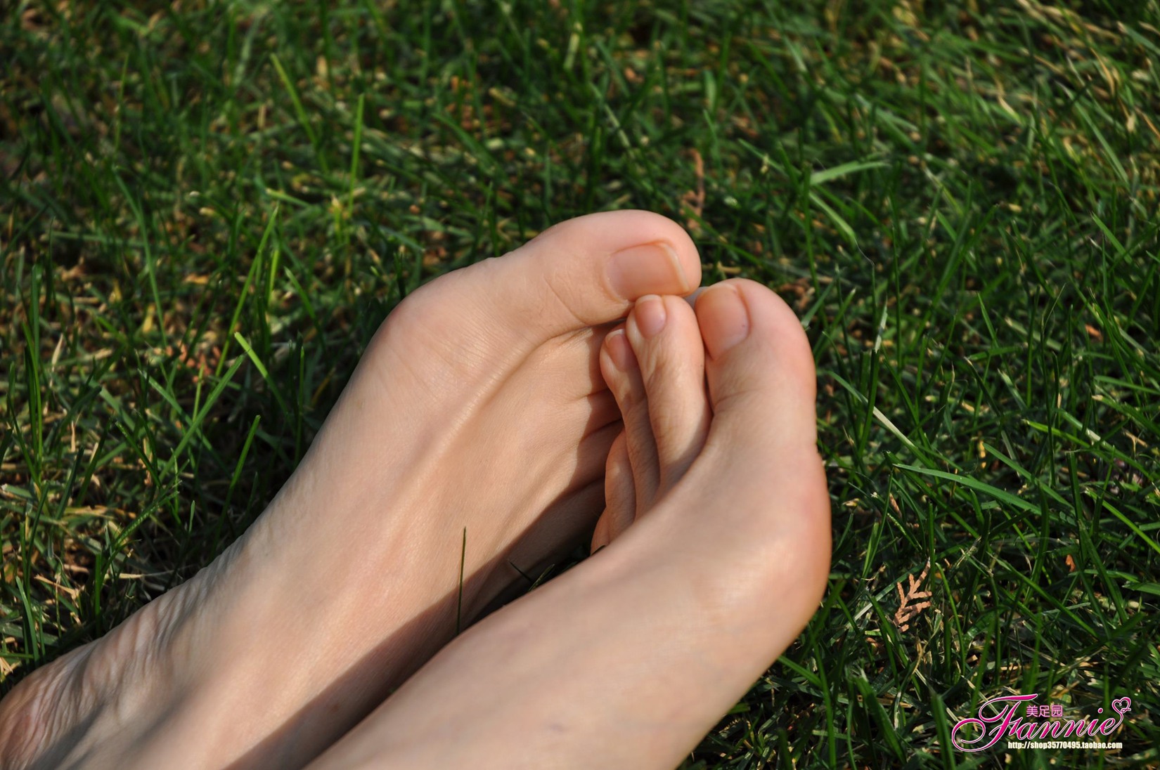 图片[63]-Fannie芬妮每足园 No.519 行在深秋 草地[83P] – 速更版-美库