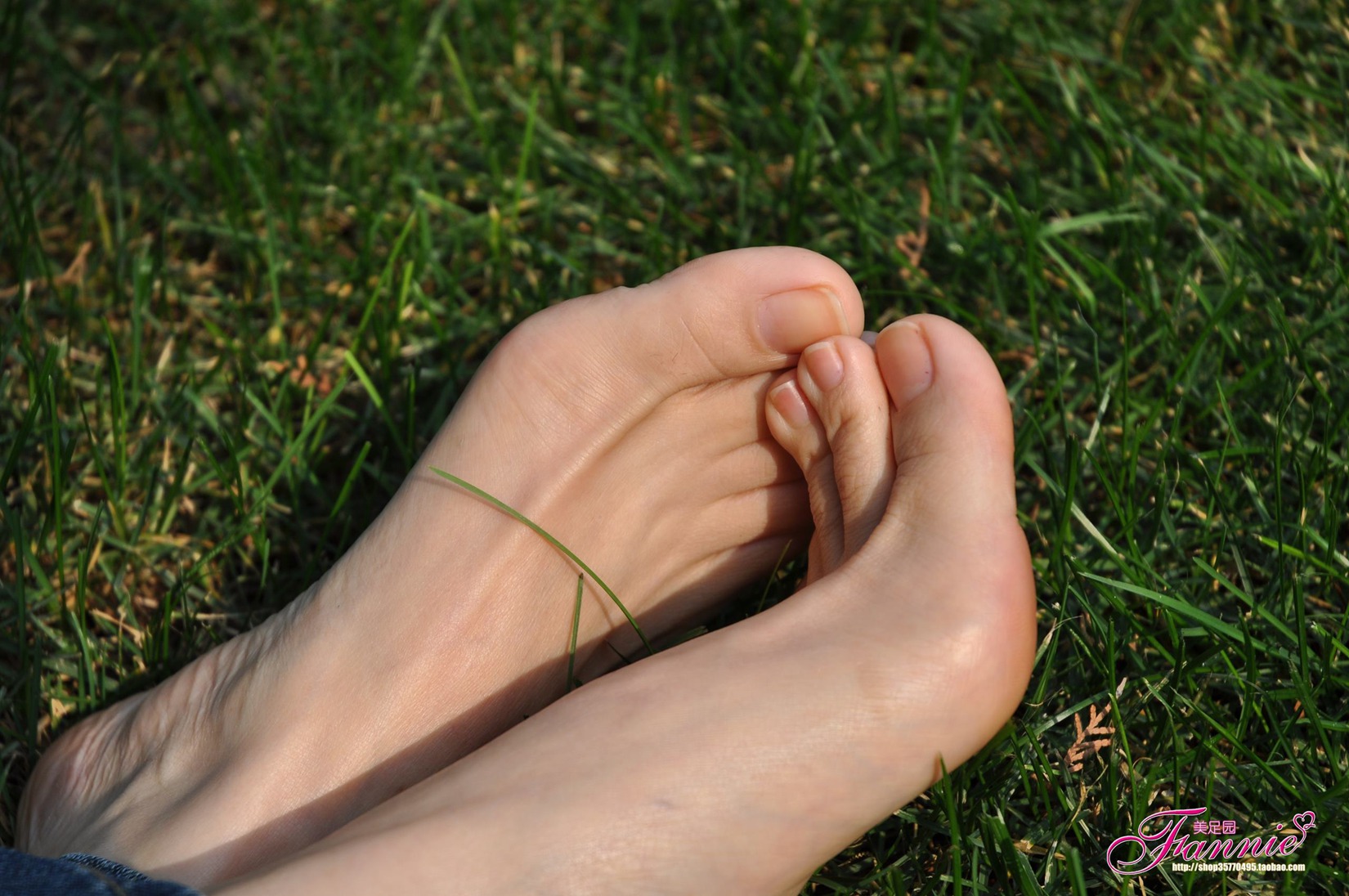 图片[64]-Fannie芬妮每足园 No.519 行在深秋 草地[83P] – 速更版-美库