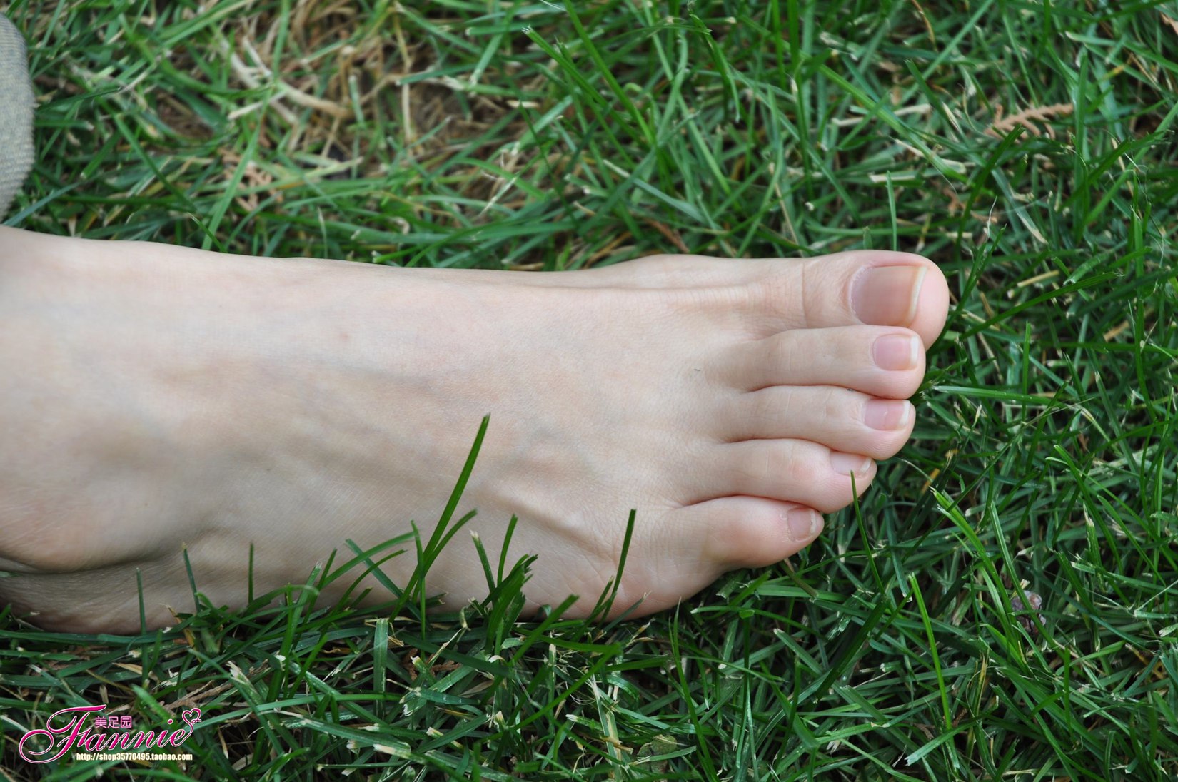 图片[69]-Fannie芬妮每足园 No.519 行在深秋 草地[83P] – 速更版-美库