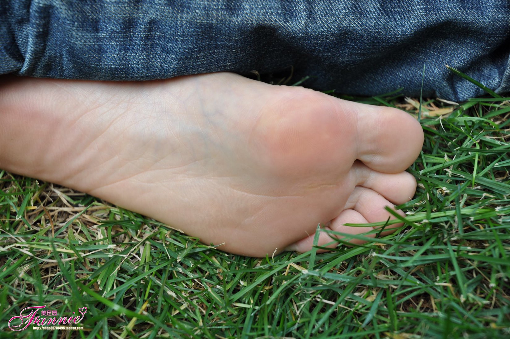 图片[83]-Fannie芬妮每足园 No.519 行在深秋 草地[83P] – 速更版-美库