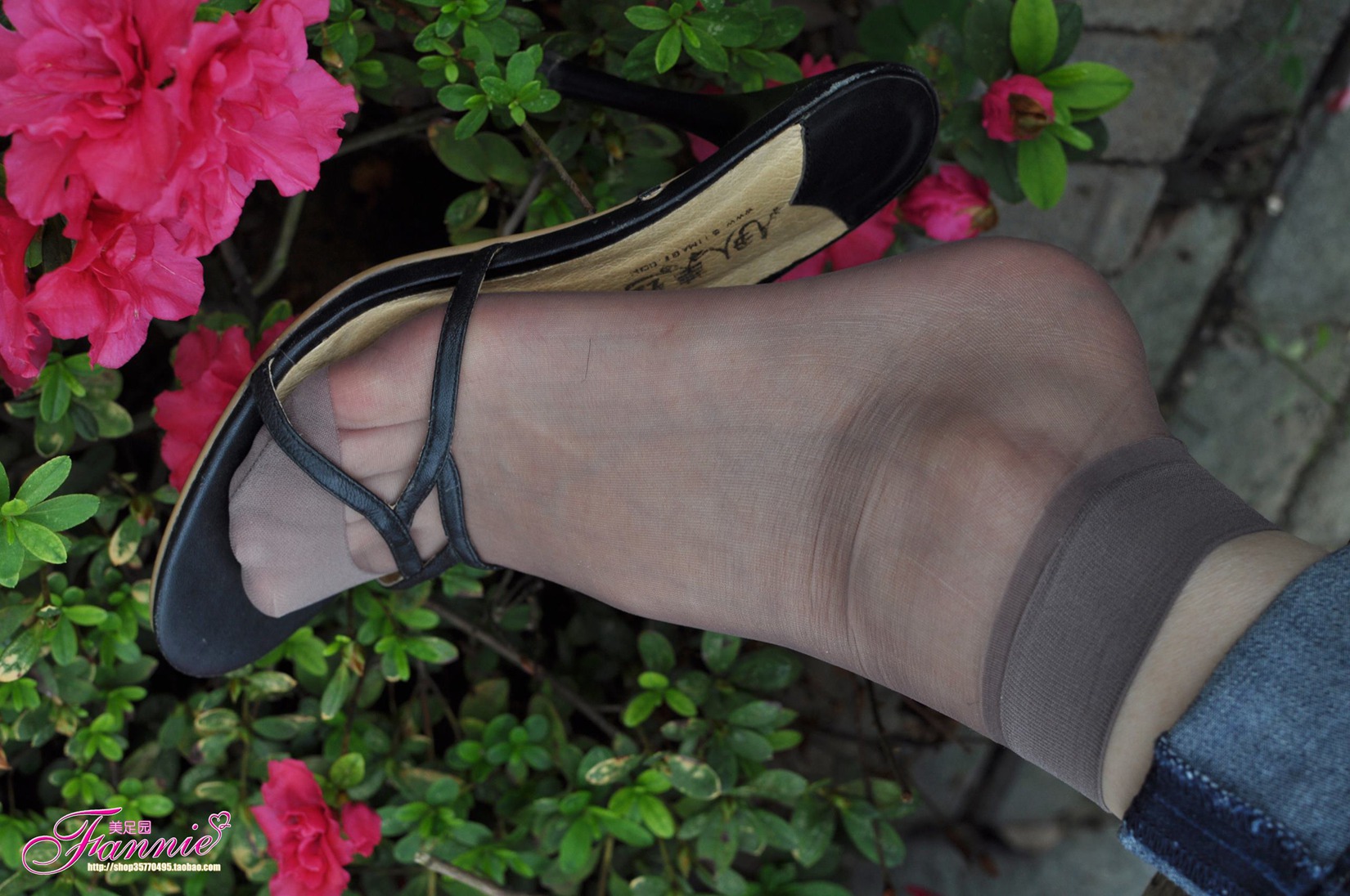 图片[56]-Fannie芬妮每足园 No.523 心绪盈秋 灰丝[66P] – 速更版-美库