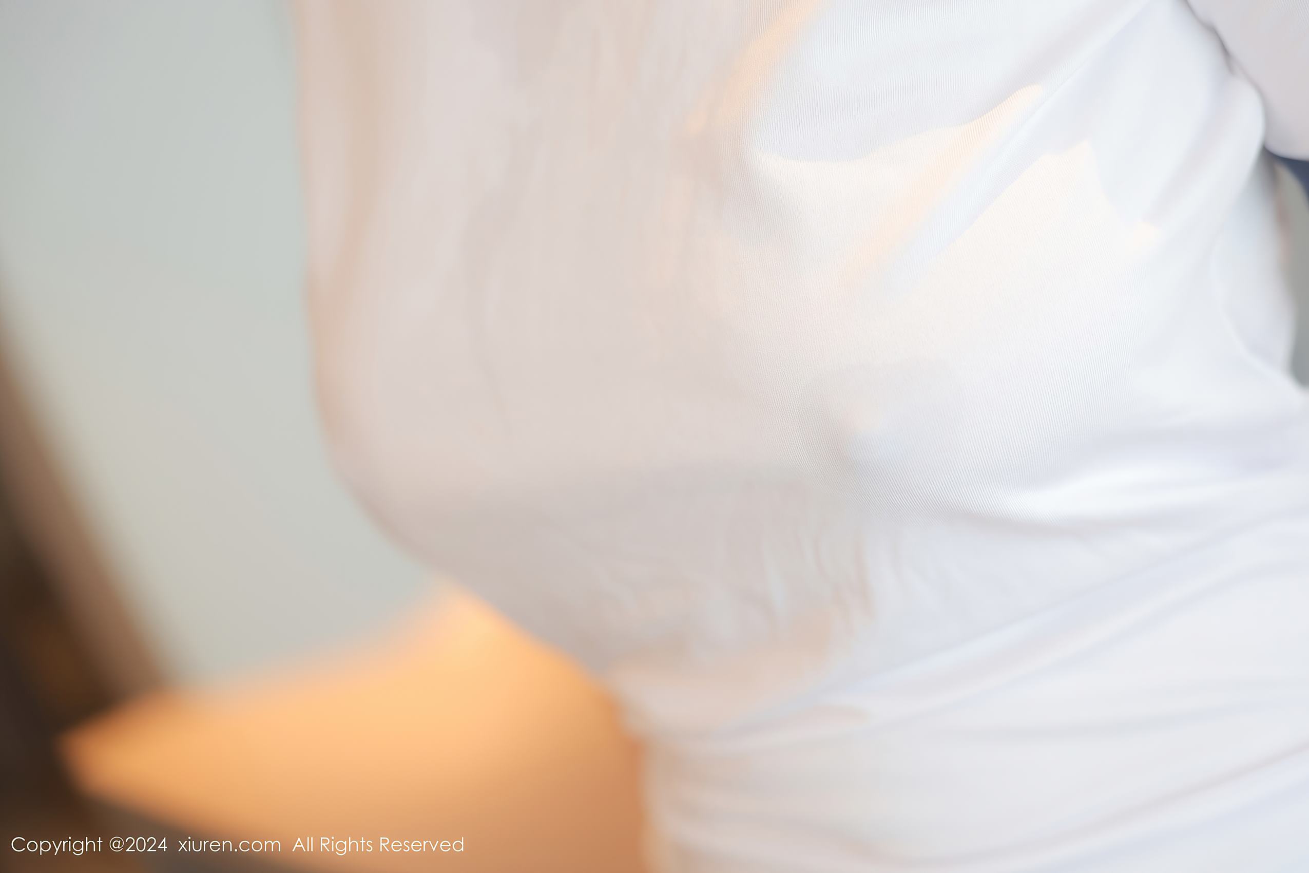 图片[10]-[Xiuren秀人网]2024.07.01 NO.8782 蛋蛋宝[16+1P] – 速更版-美库