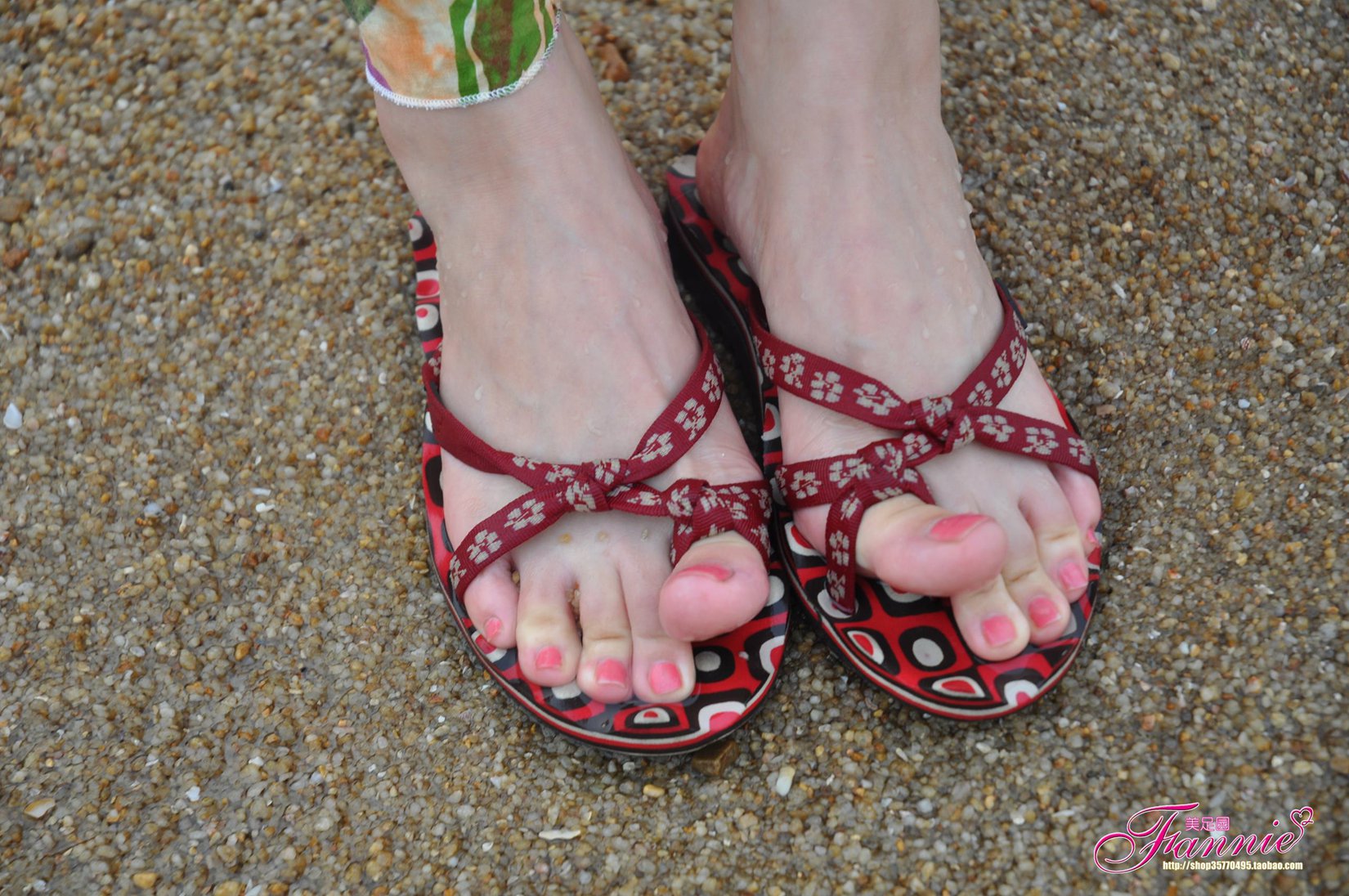 图片[26]-Fannie芬妮每足园 No.533 炫动夏日 海滩[79P] – 速更版-美库