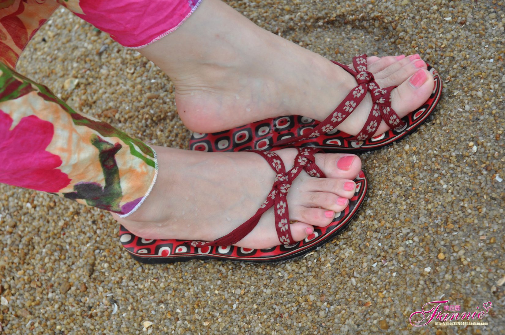 图片[29]-Fannie芬妮每足园 No.533 炫动夏日 海滩[79P] – 速更版-美库