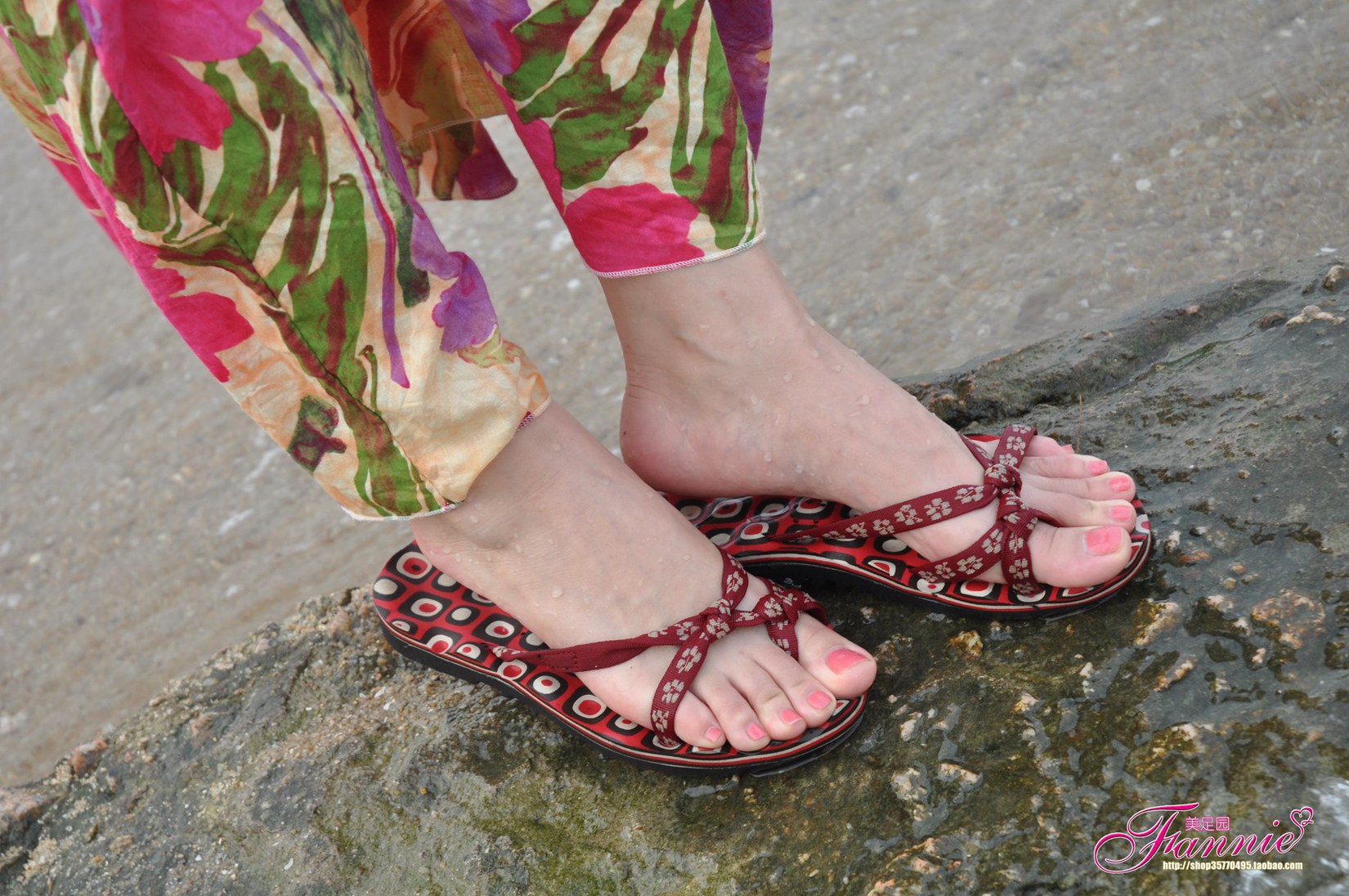 图片[40]-Fannie芬妮每足园 No.533 炫动夏日 海滩[79P] – 速更版-美库