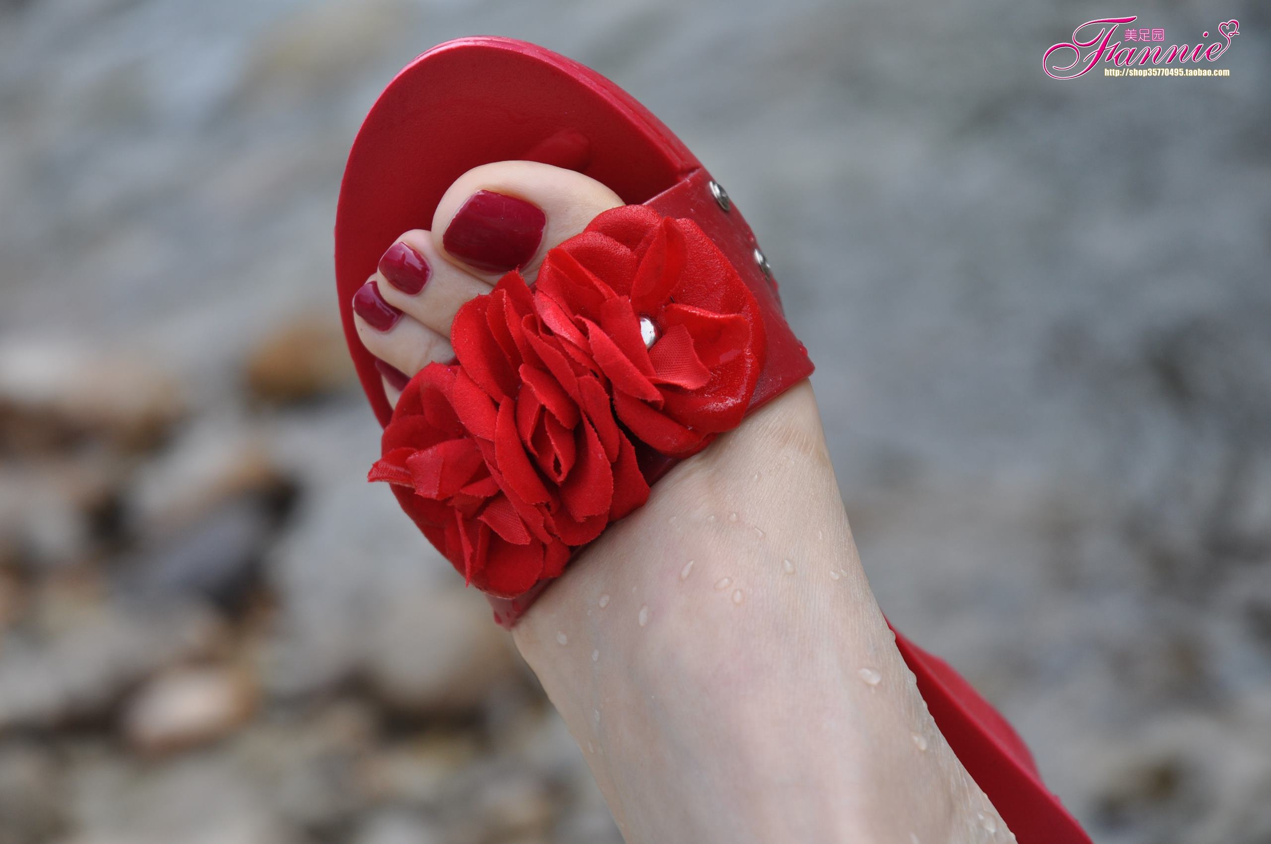 图片[27]-Fannie芬妮每足园 No.538 阳光下的水舞[39P] – 速更版-美库