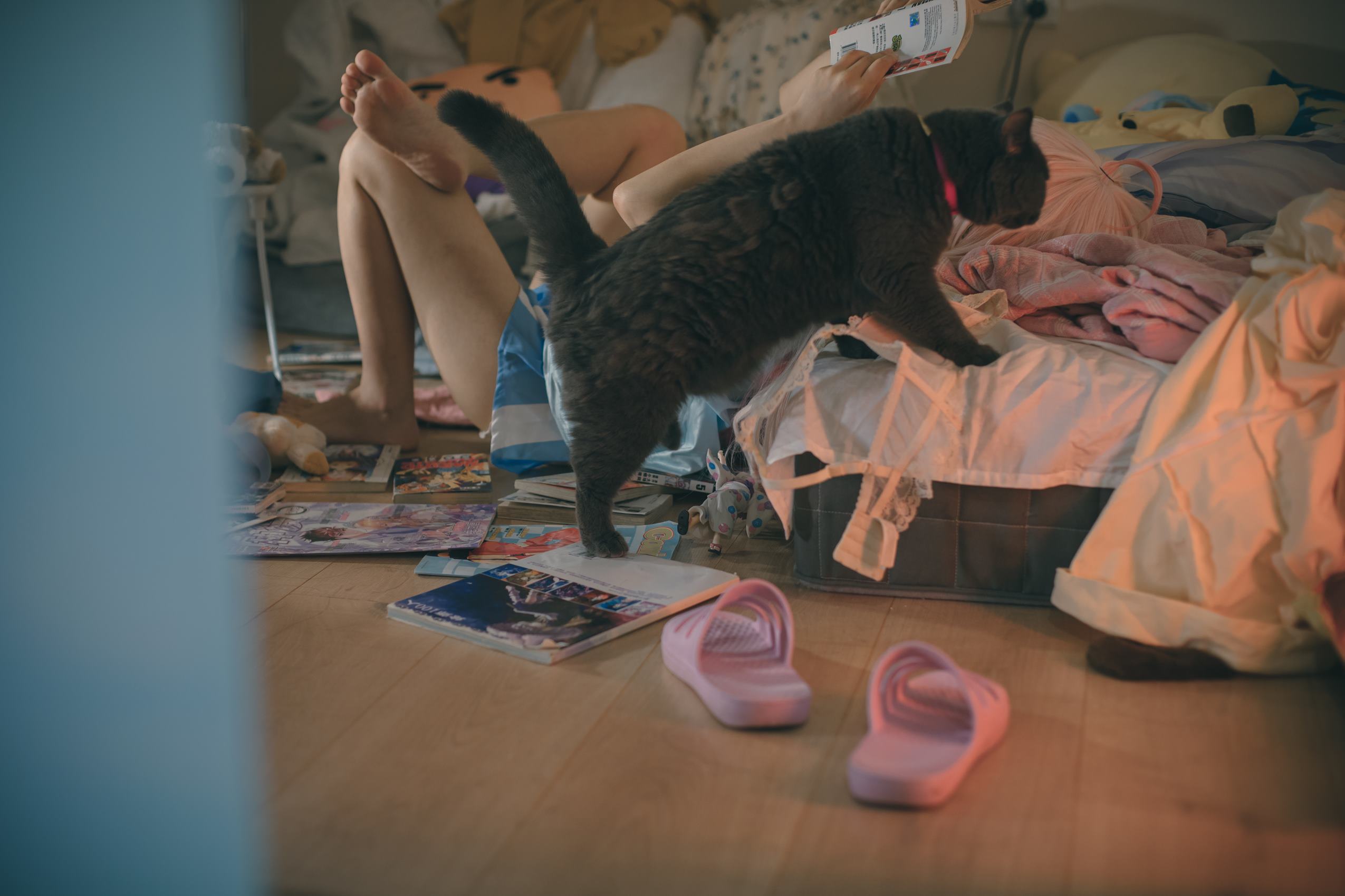 图片[27]-神沢永莉 – 别当欧尼酱[39P] – 速更版-美库