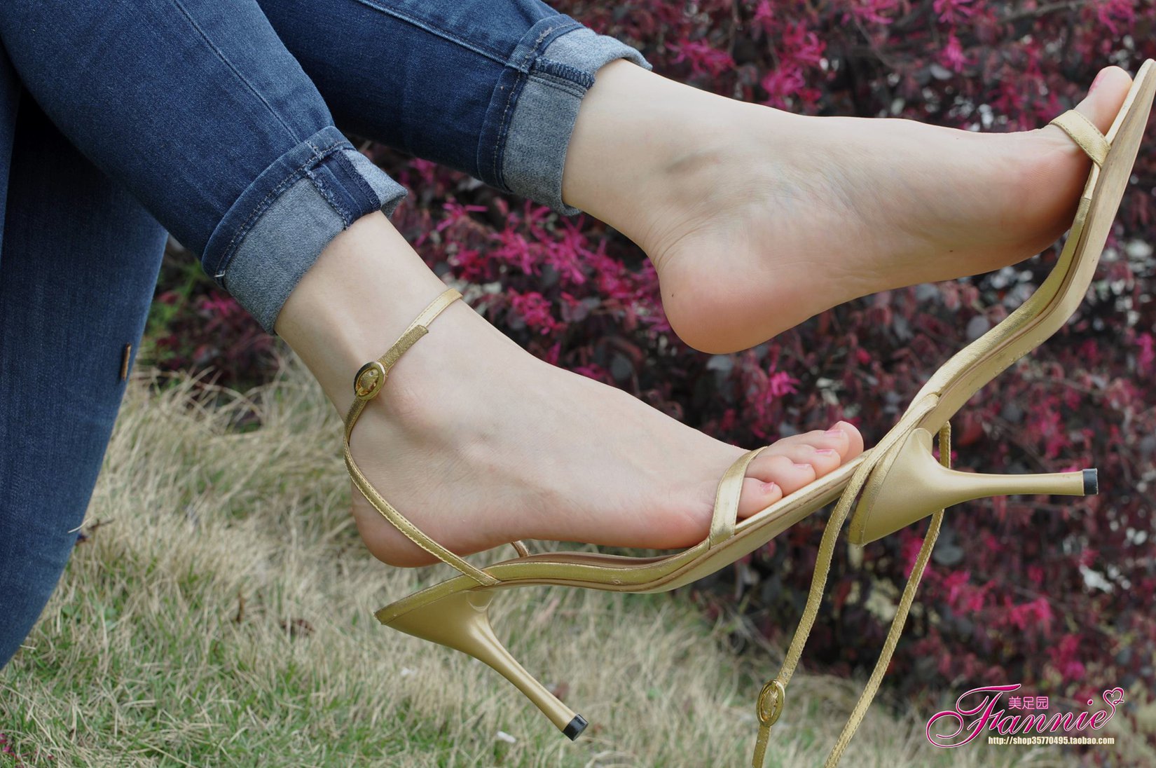 图片[14]-Fannie芬妮每足园 No.544 杨柳弄春柔 金色旋律2[76P] – 速更版-美库