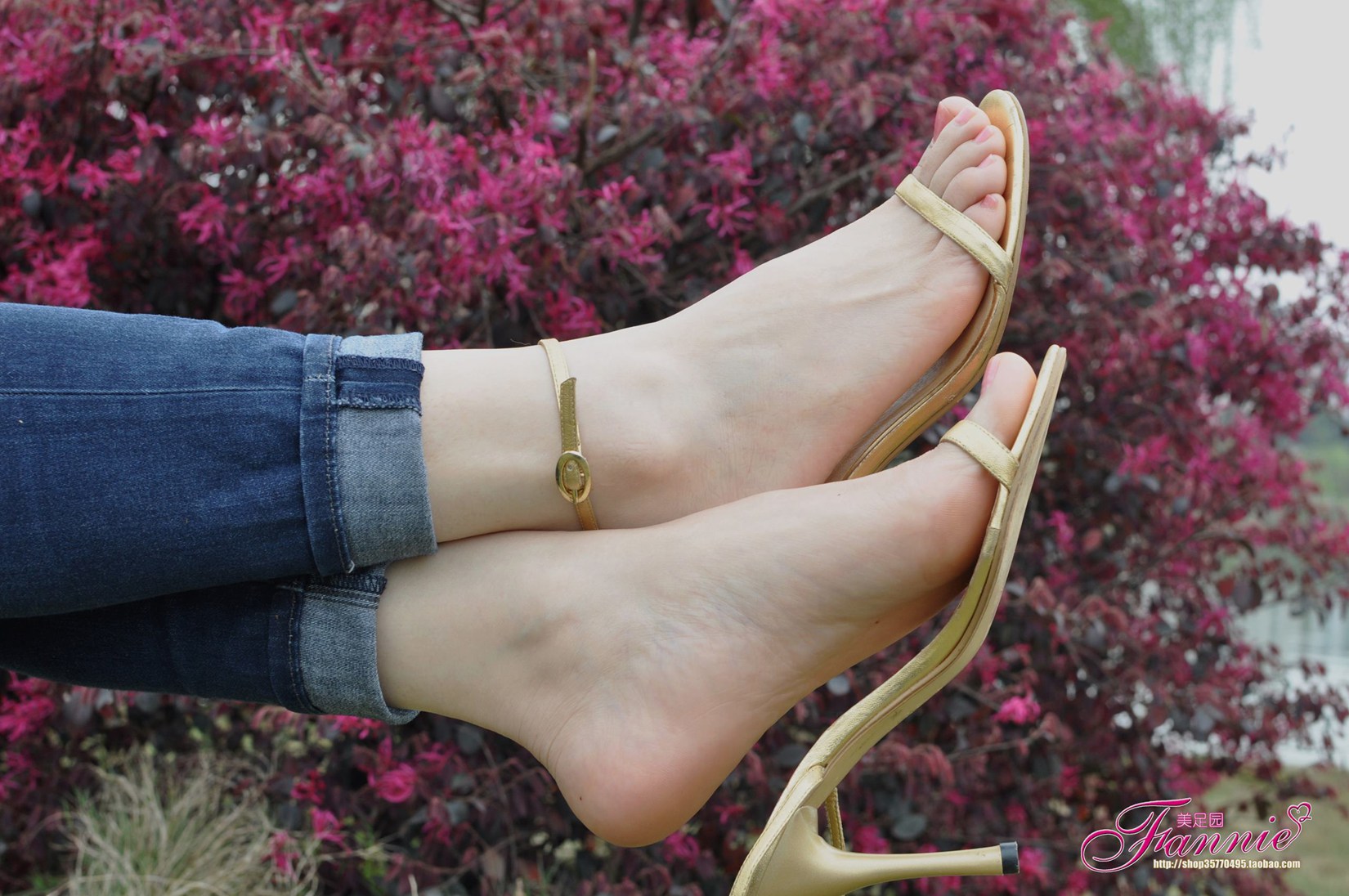 图片[15]-Fannie芬妮每足园 No.544 杨柳弄春柔 金色旋律2[76P] – 速更版-美库