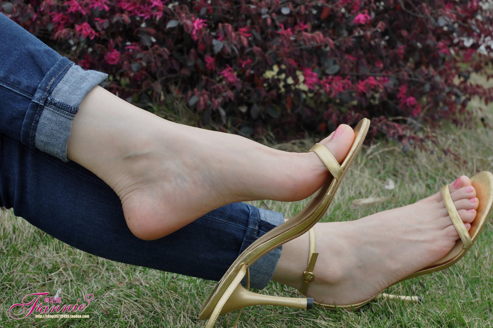 图片[16]-Fannie芬妮每足园 No.544 杨柳弄春柔 金色旋律2[76P] – 速更版-美库