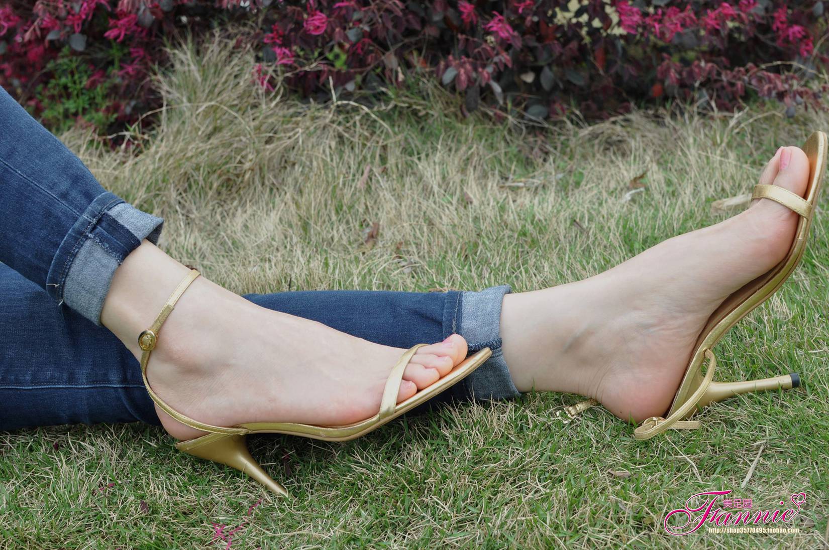 图片[19]-Fannie芬妮每足园 No.544 杨柳弄春柔 金色旋律2[76P] – 速更版-美库