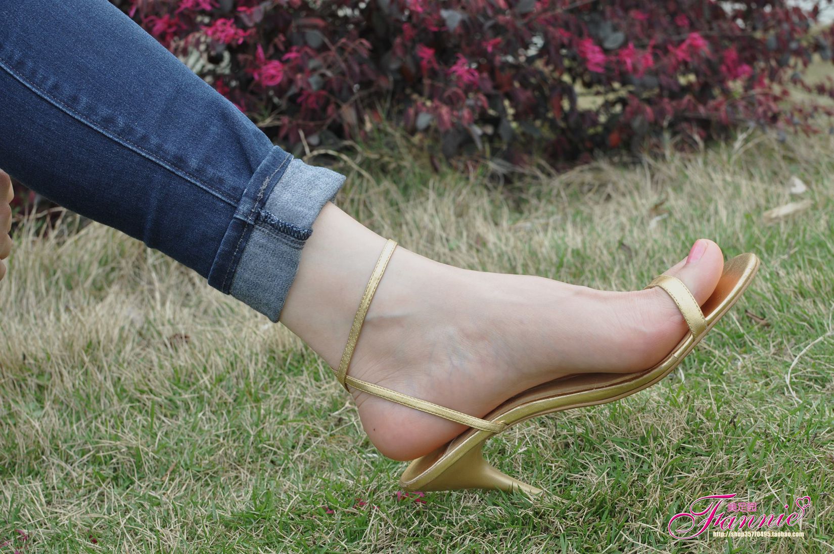 图片[23]-Fannie芬妮每足园 No.544 杨柳弄春柔 金色旋律2[76P] – 速更版-美库