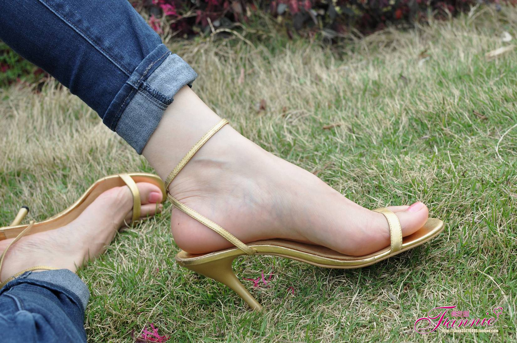 图片[24]-Fannie芬妮每足园 No.544 杨柳弄春柔 金色旋律2[76P] – 速更版-美库