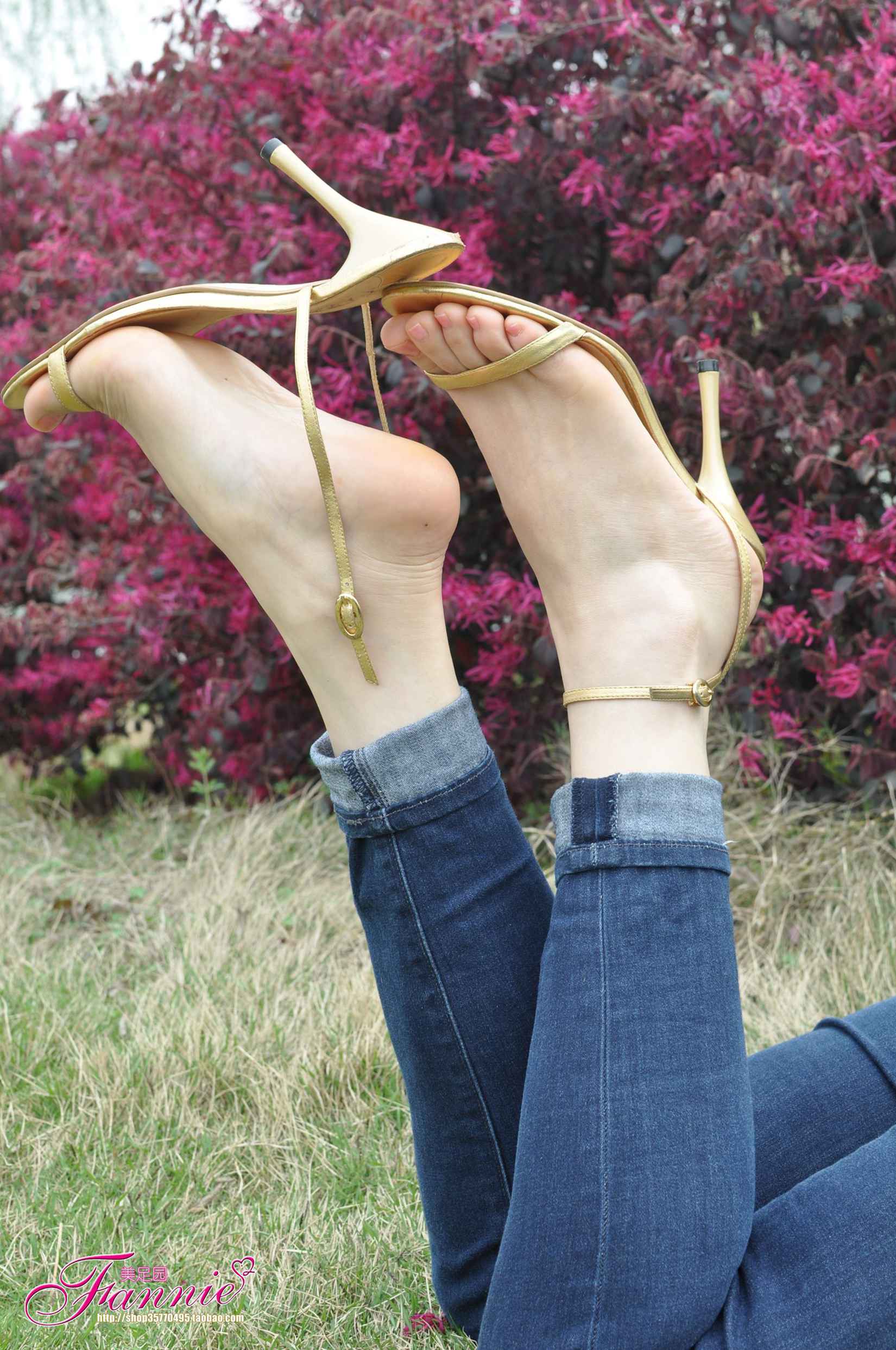 图片[28]-Fannie芬妮每足园 No.544 杨柳弄春柔 金色旋律2[76P] – 速更版-美库