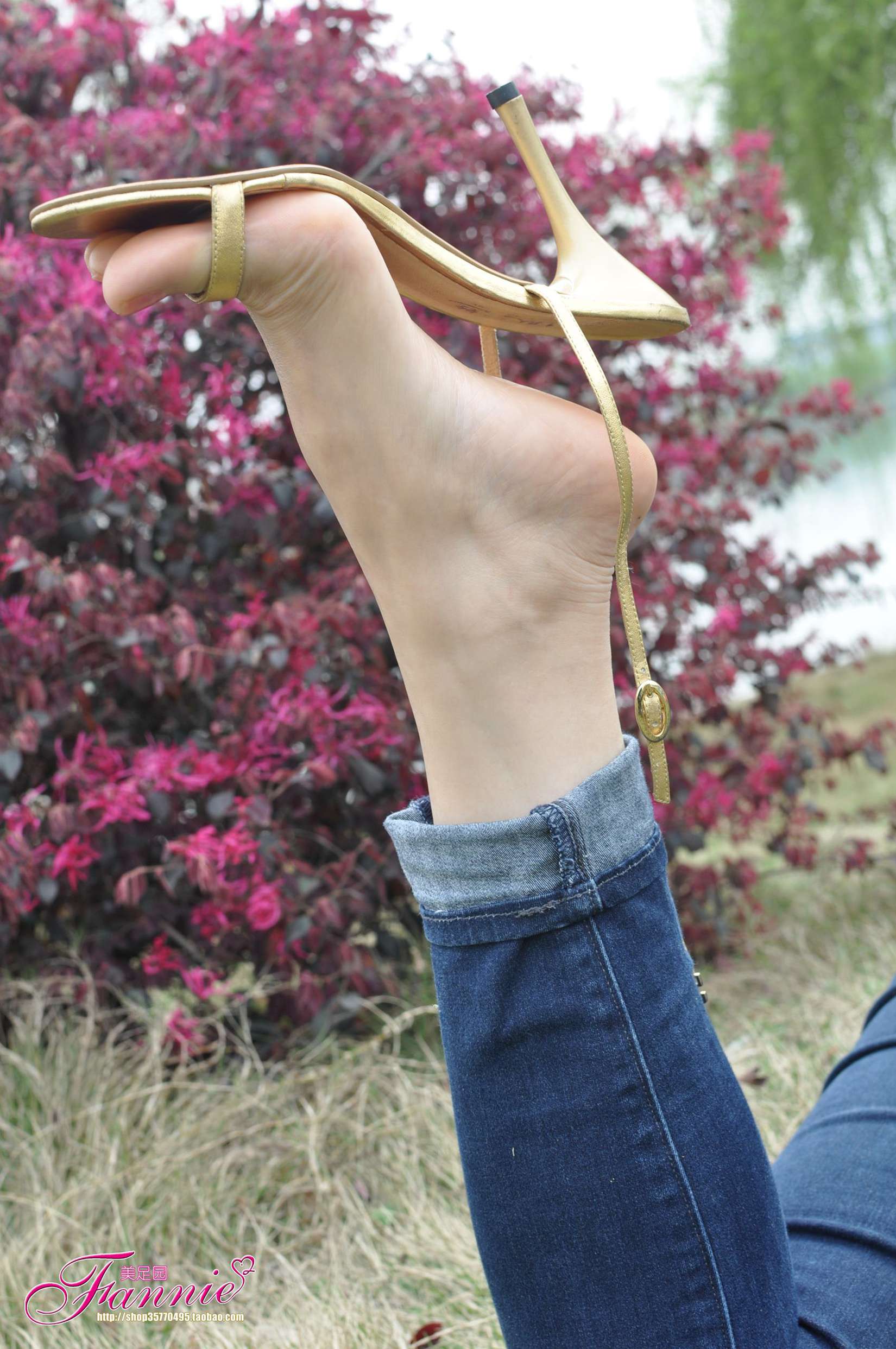 图片[30]-Fannie芬妮每足园 No.544 杨柳弄春柔 金色旋律2[76P] – 速更版-美库