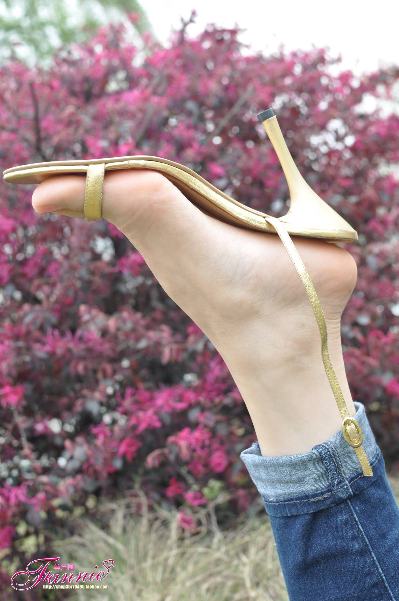 图片[31]-Fannie芬妮每足园 No.544 杨柳弄春柔 金色旋律2[76P] – 速更版-美库