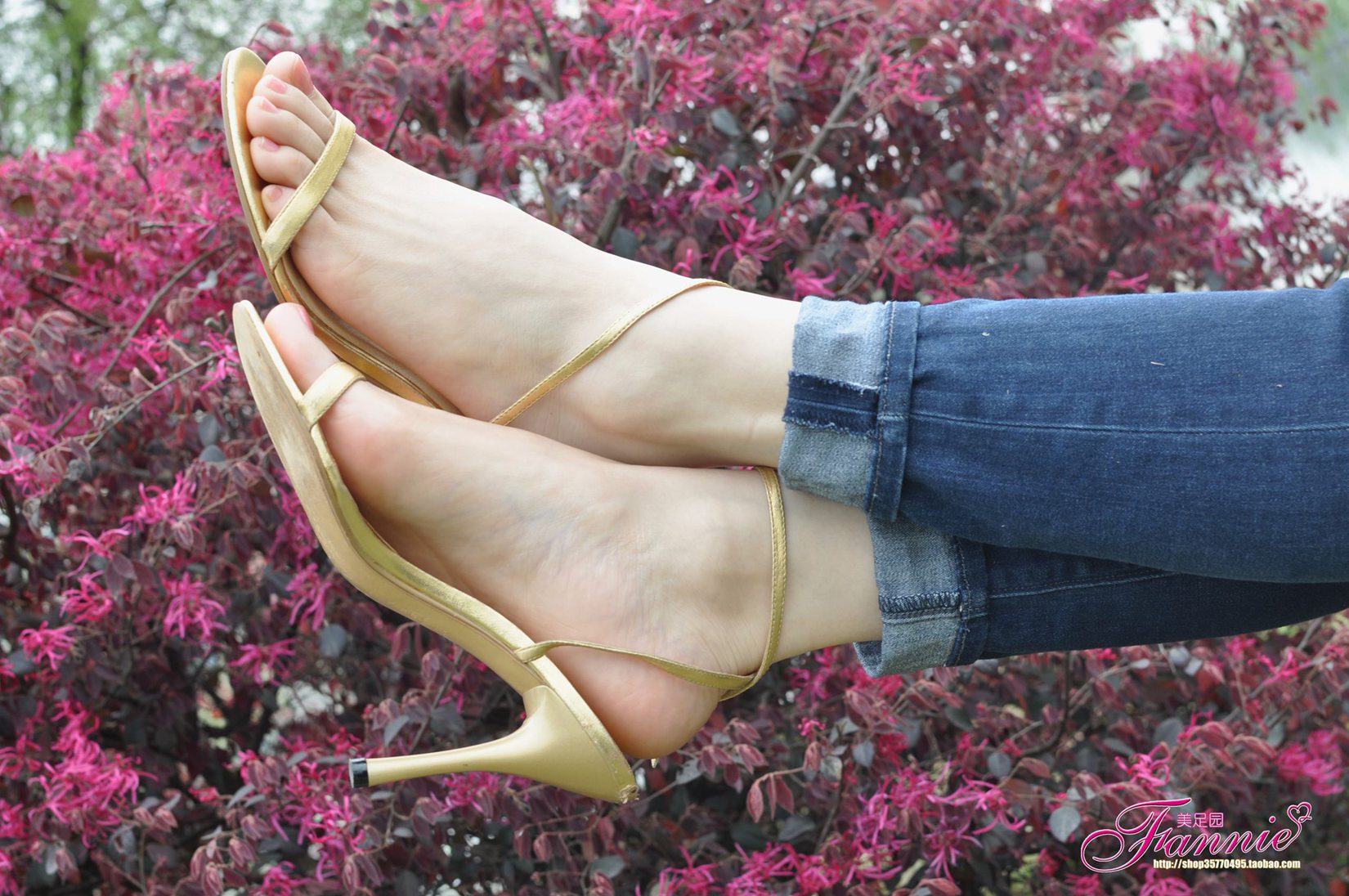 图片[37]-Fannie芬妮每足园 No.544 杨柳弄春柔 金色旋律2[76P] – 速更版-美库