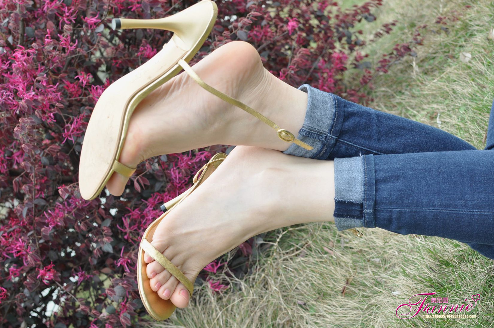 图片[42]-Fannie芬妮每足园 No.544 杨柳弄春柔 金色旋律2[76P] – 速更版-美库