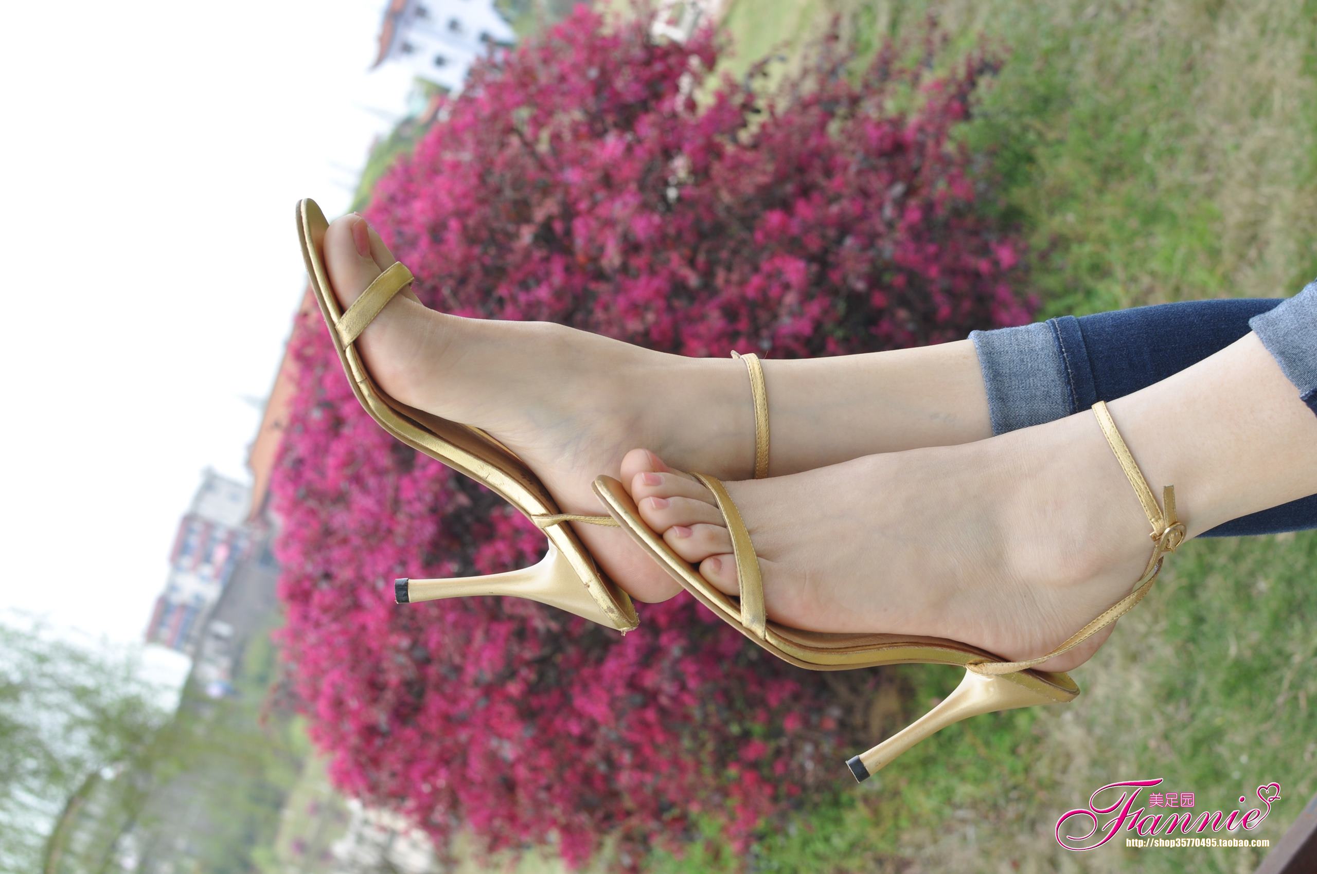 图片[74]-Fannie芬妮每足园 No.544 杨柳弄春柔 金色旋律2[76P] – 速更版-美库