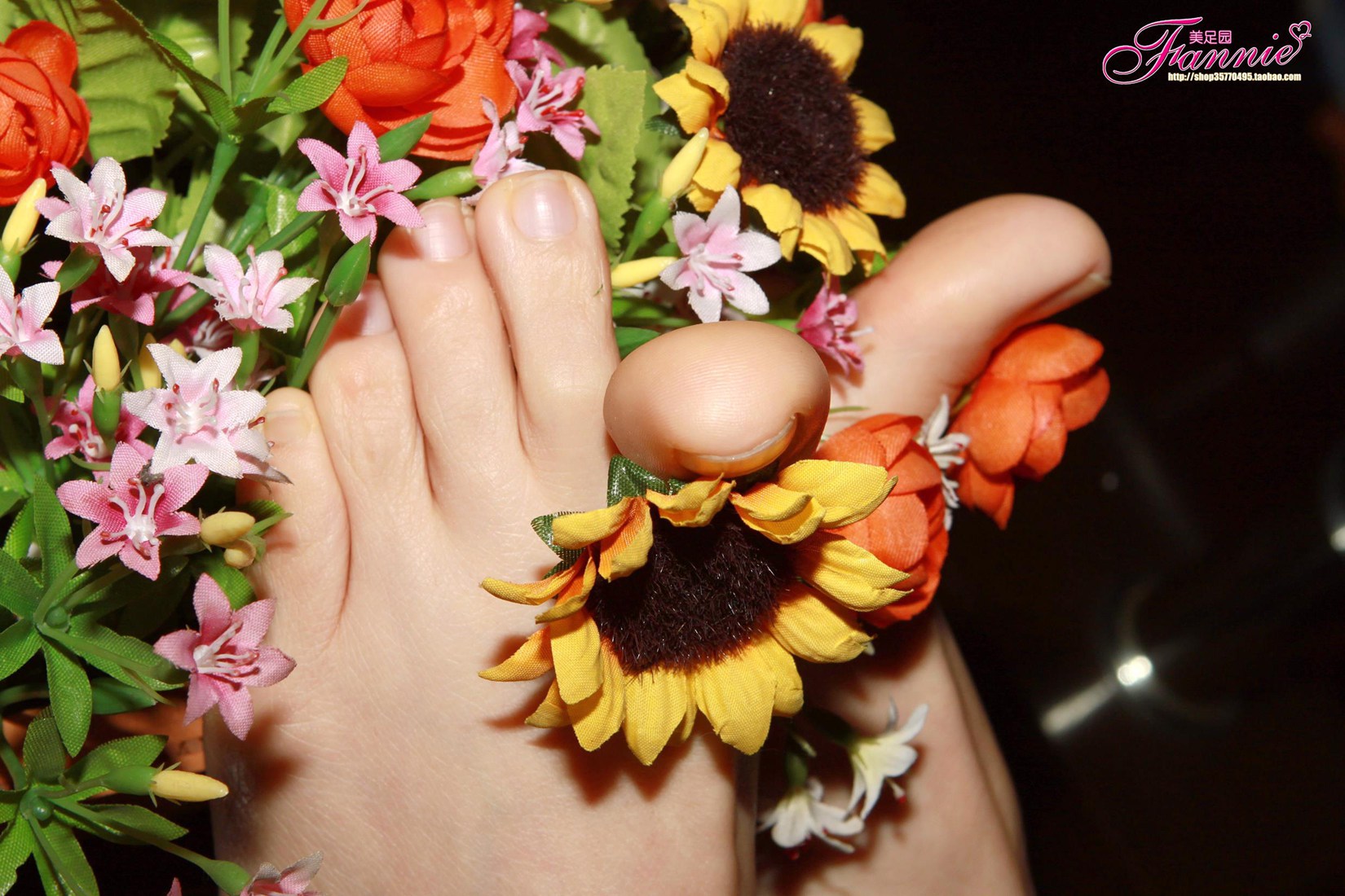 图片[24]-Fannie芬妮每足园 No.557 夜的乐章4[46P] – 速更版-美库